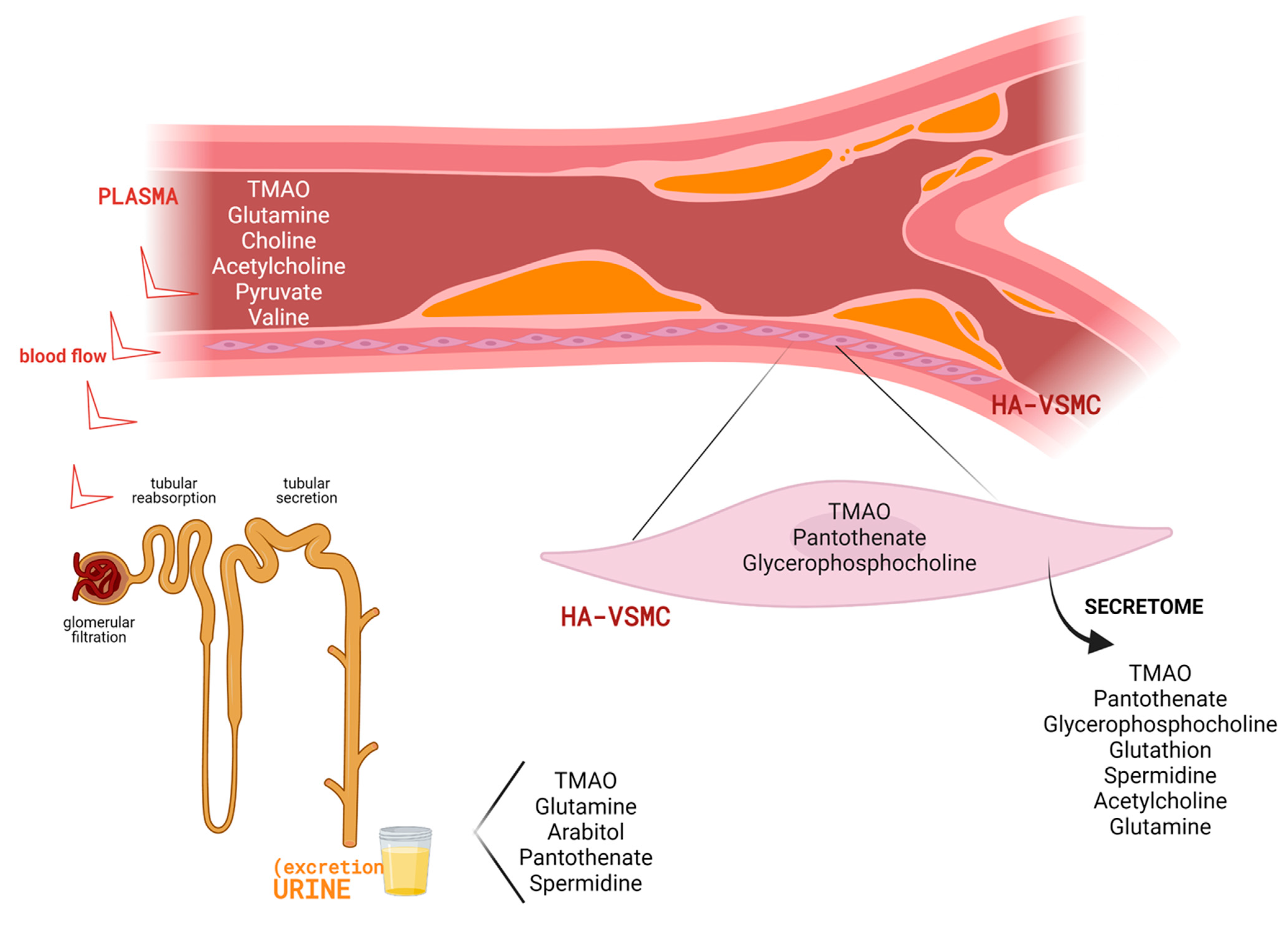 Antioxidants 10 01369 g004 550