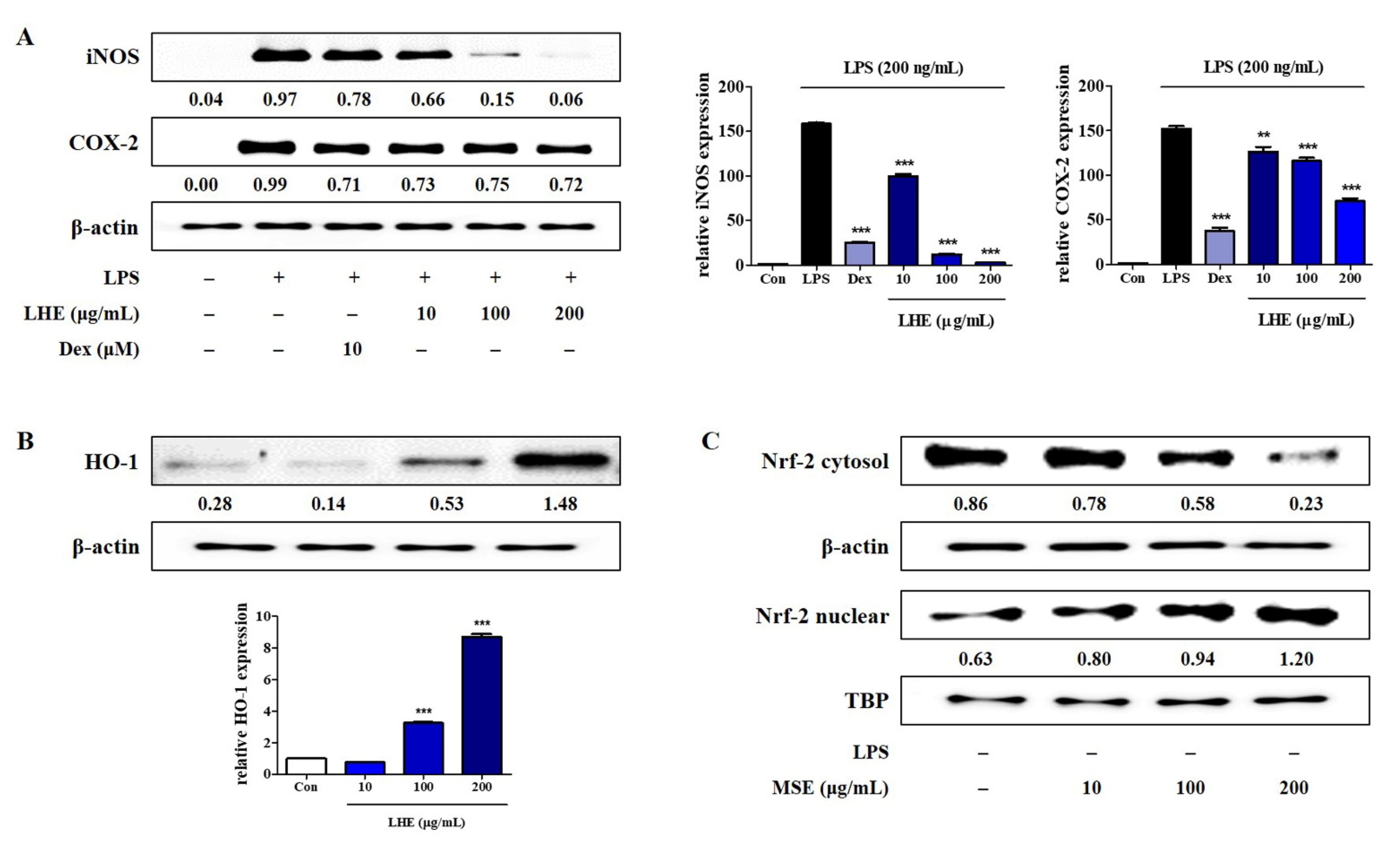 Antioxidants 10 01387 g002 Antioxidants 10 01387 g002