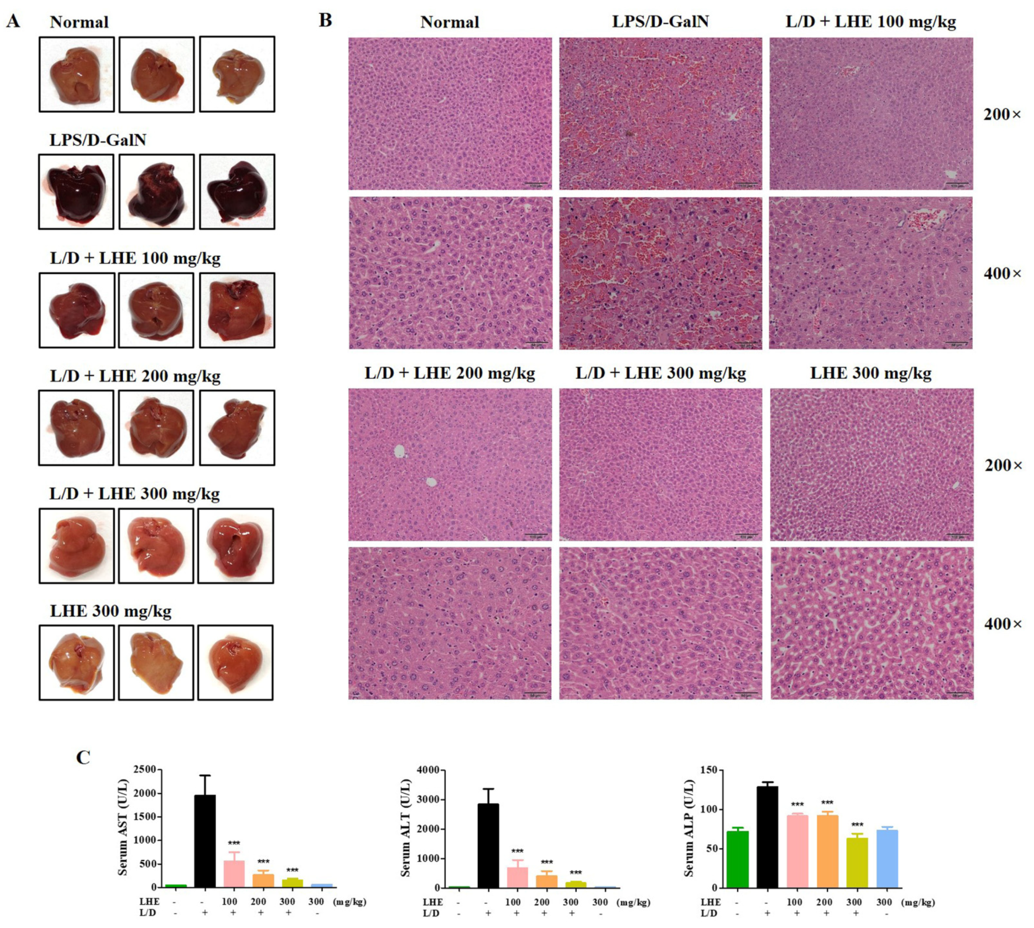 Antioxidants 10 01387 g005 Antioxidants 10 01387 g005