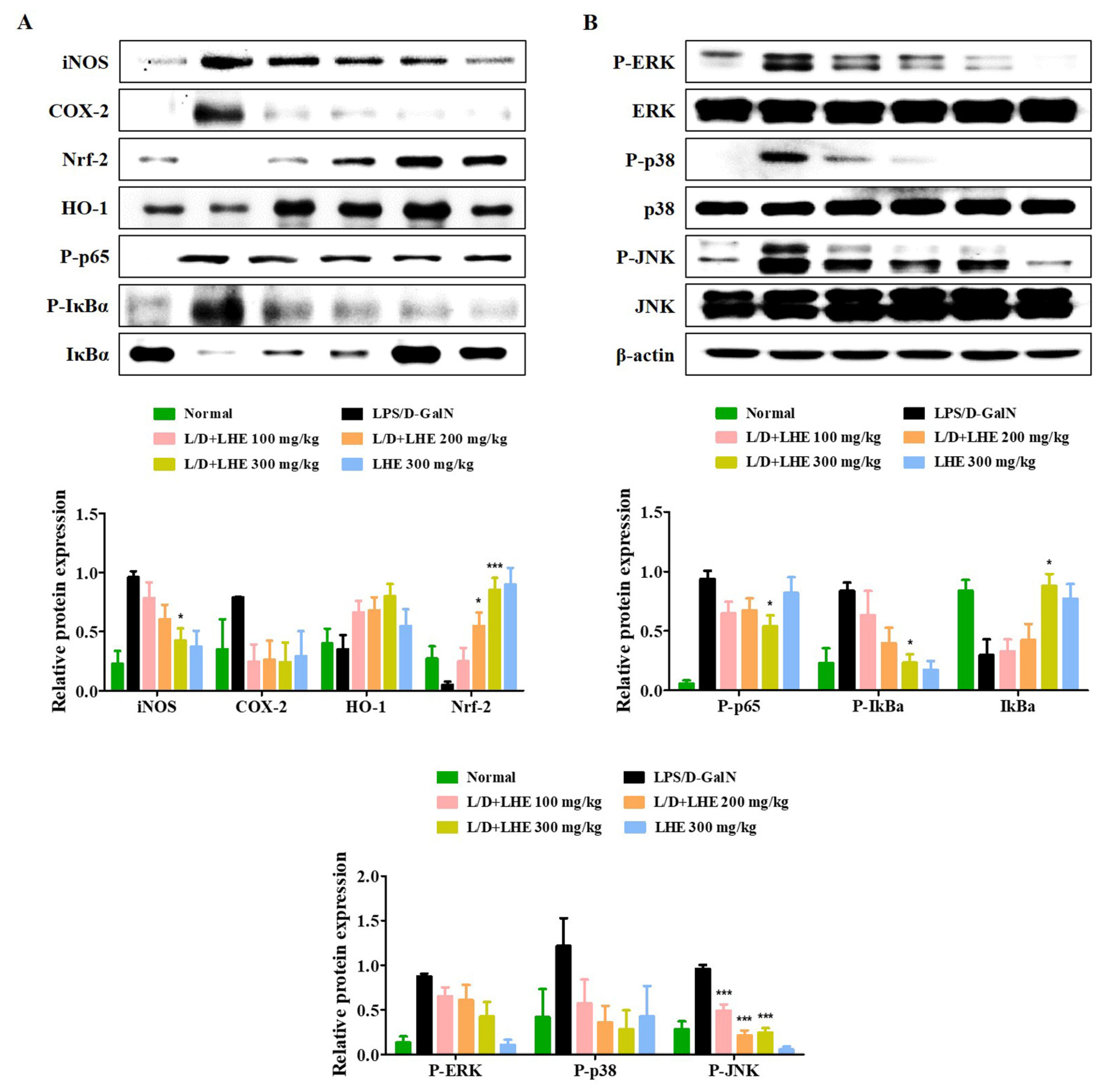 Antioxidants 10 01387 g006 Antioxidants 10 01387 g006