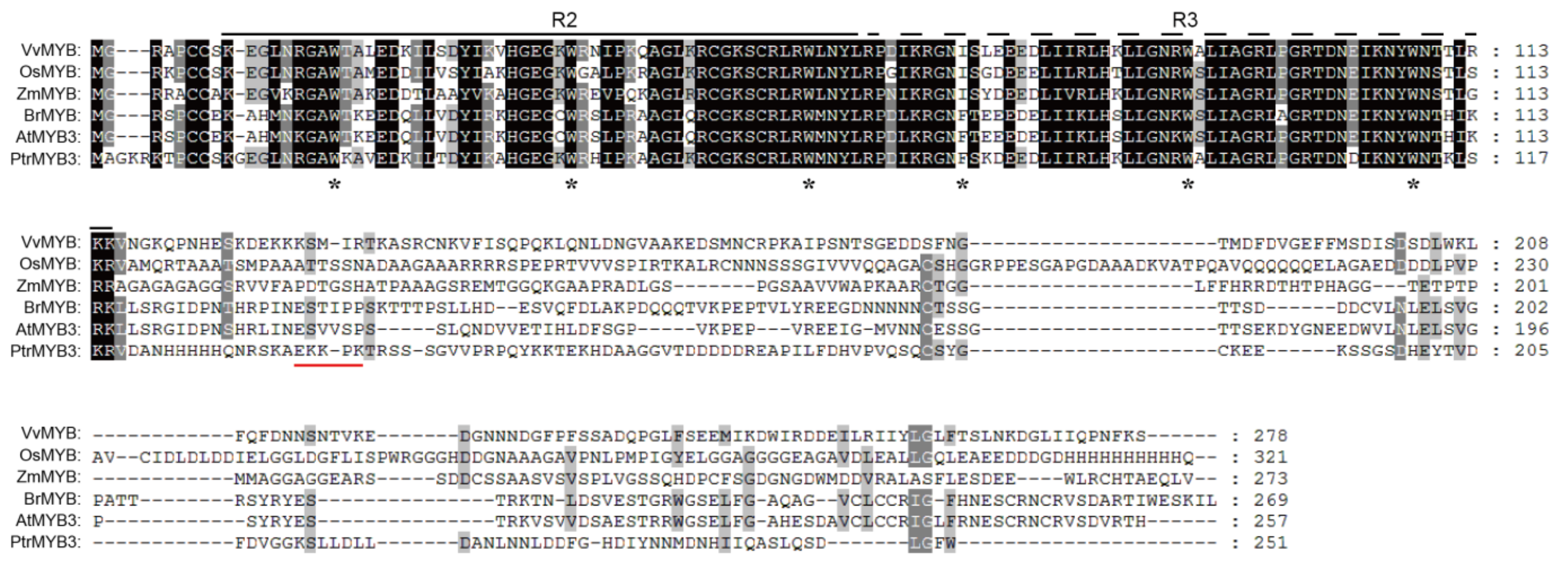 Antioxidants 10 01388 g001