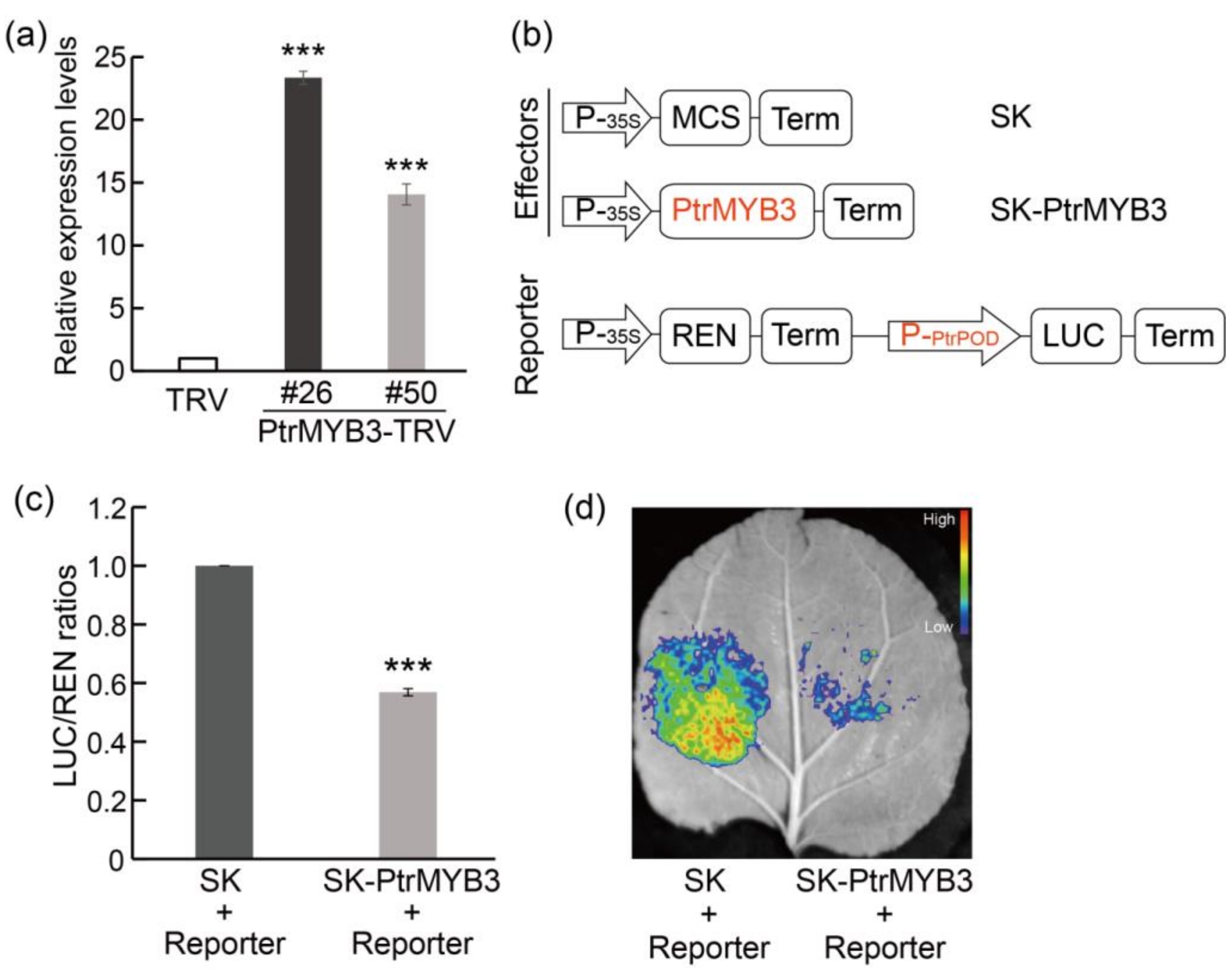 Antioxidants 10 01388 g007