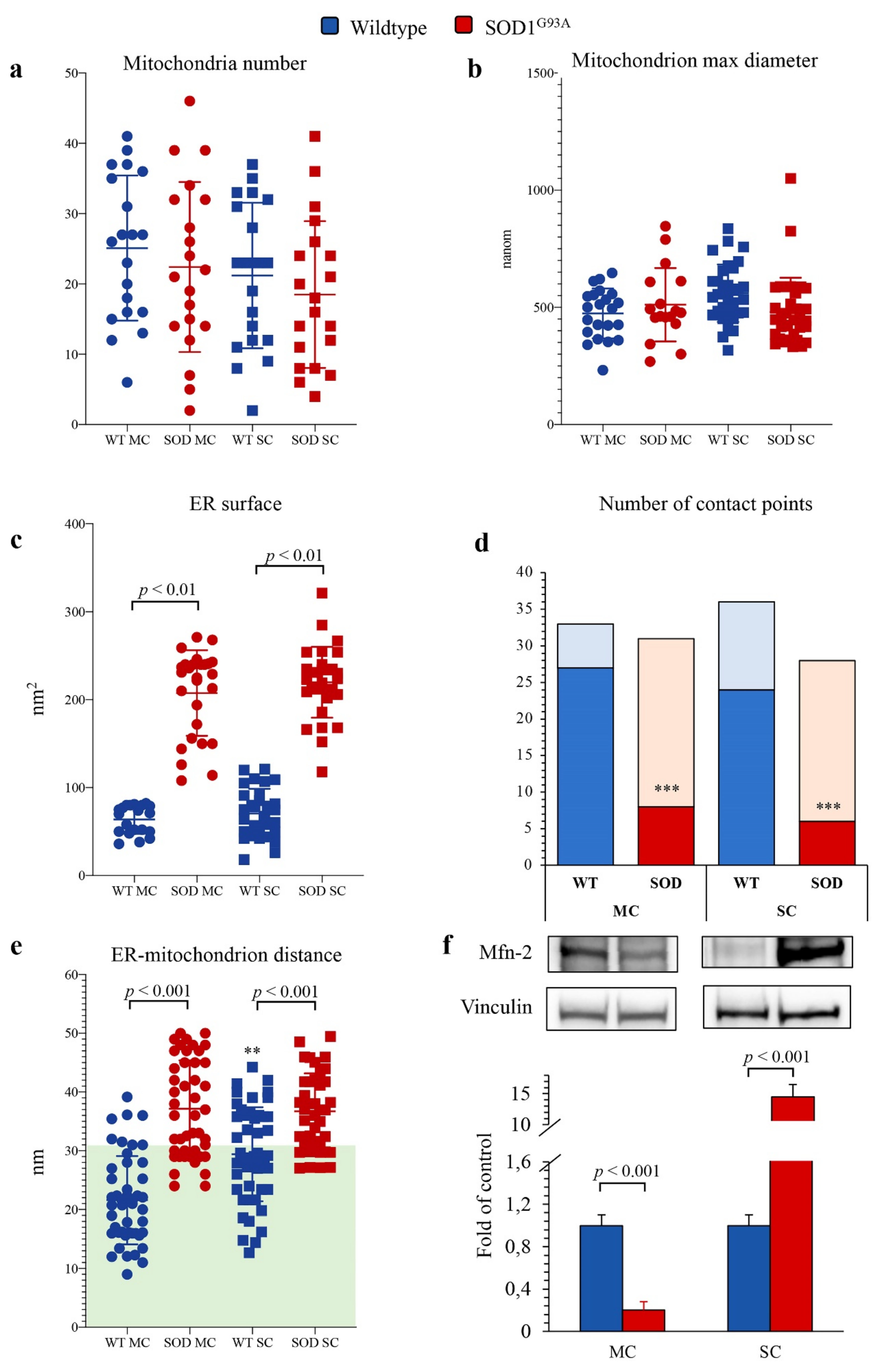 Antioxidants 10 01392 g006 550