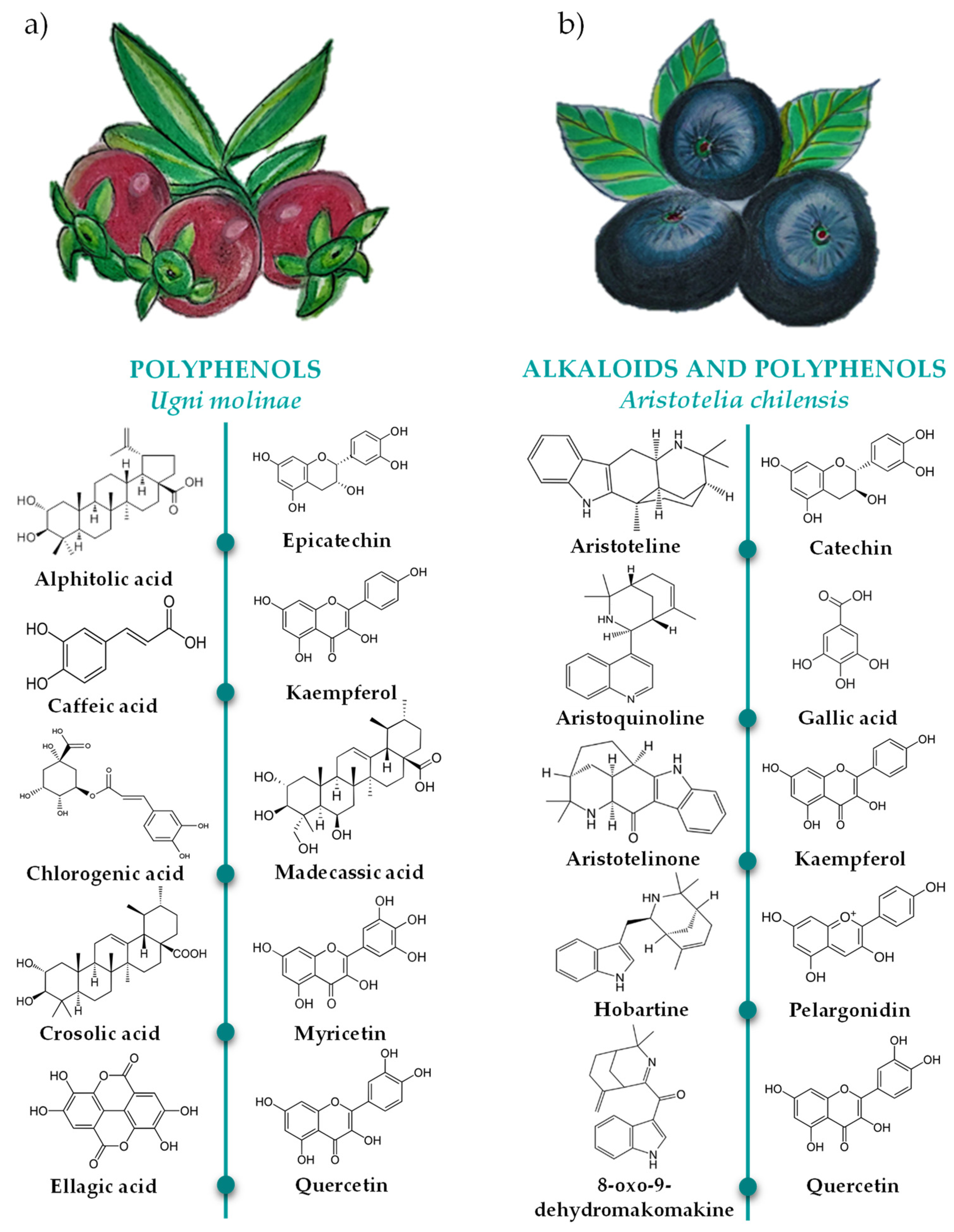 Antioxidants 10 01396 g002