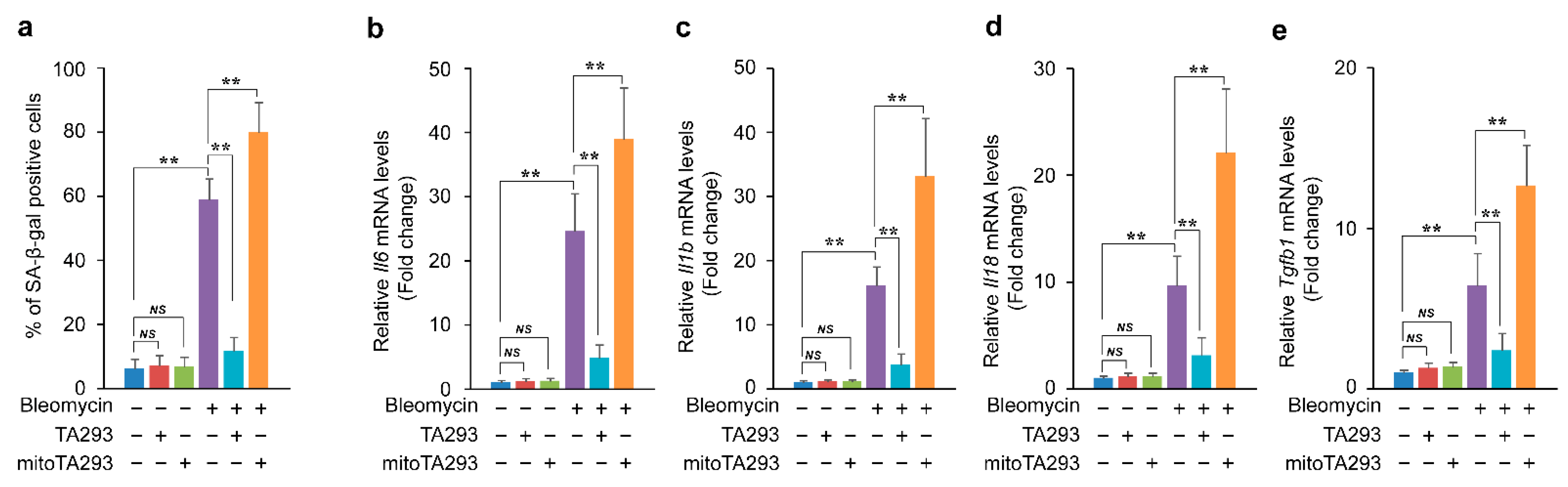 Antioxidants 10 01398 g003 Antioxidants 10 01398 g003