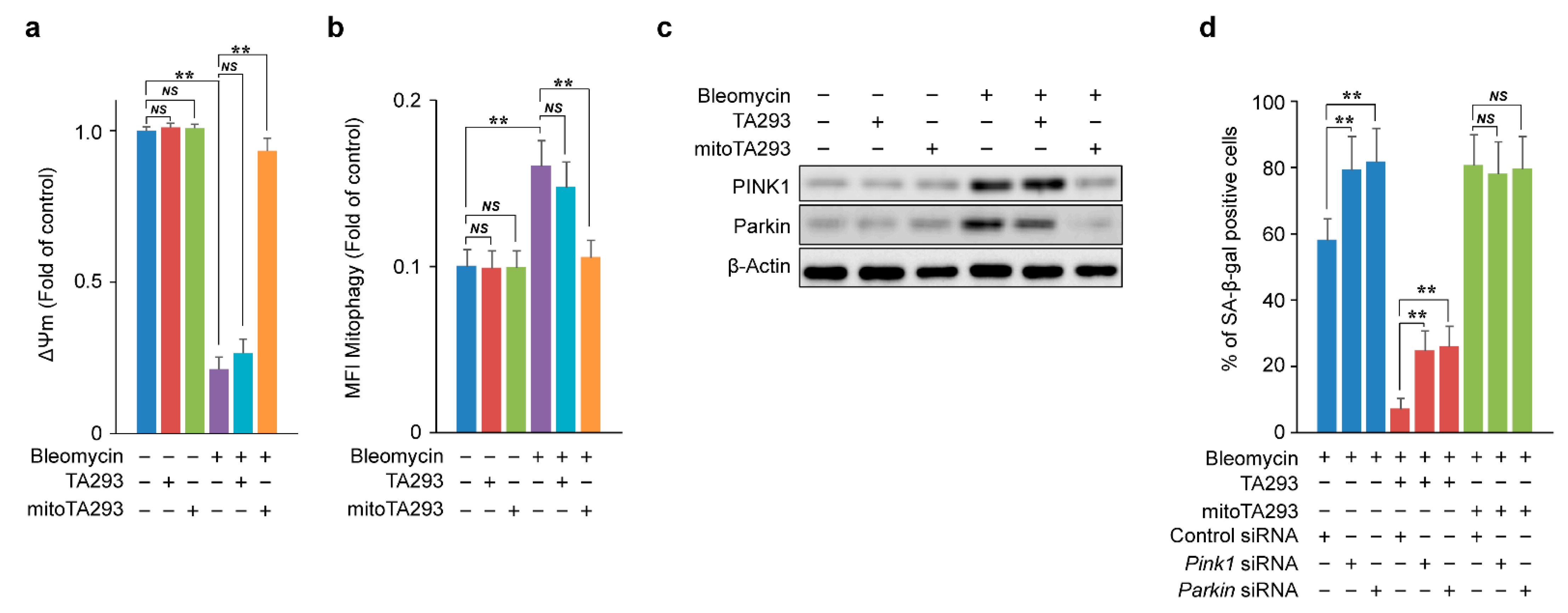 Antioxidants 10 01398 g006 Antioxidants 10 01398 g006