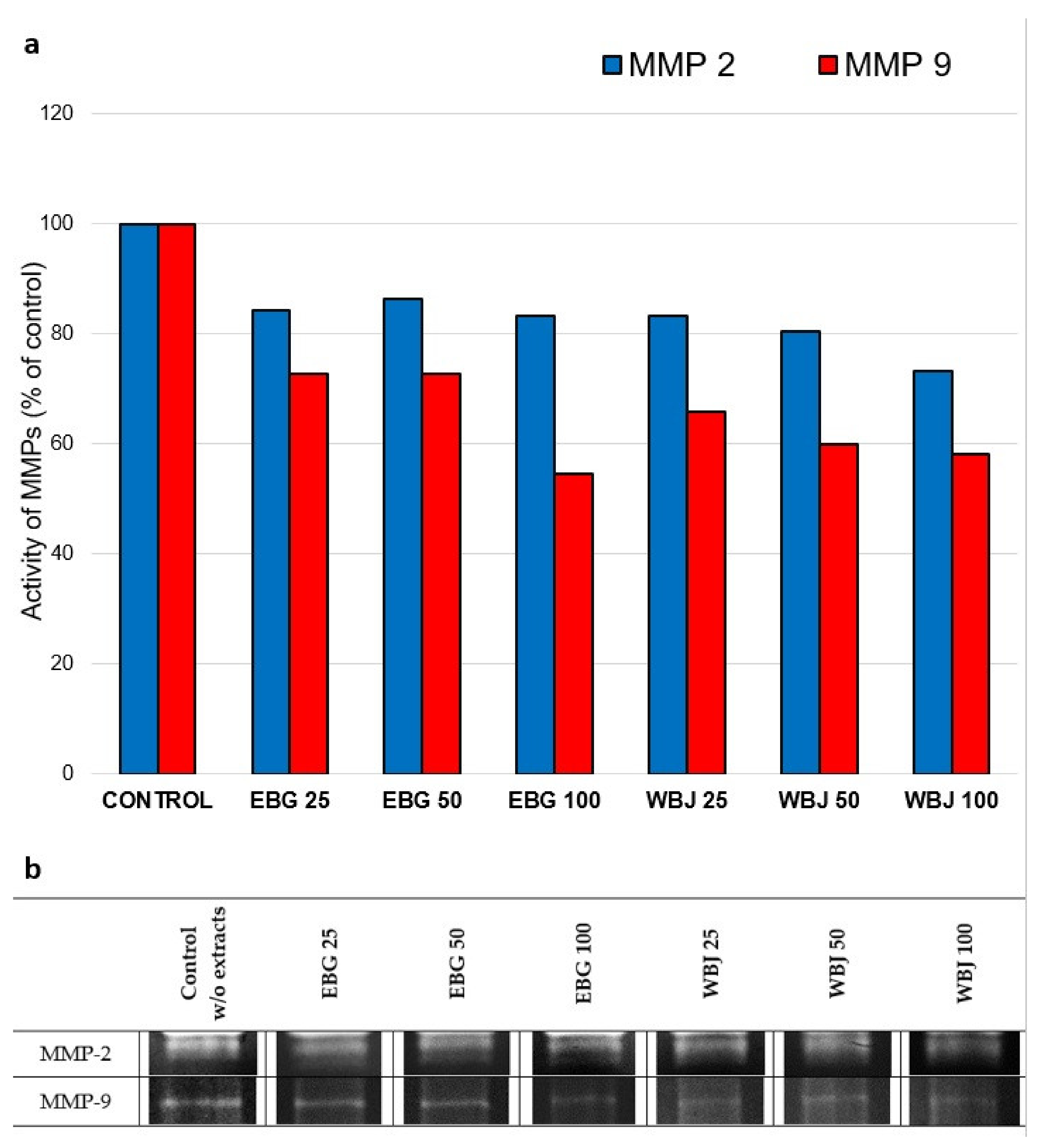 Antioxidants 10 01402 g010