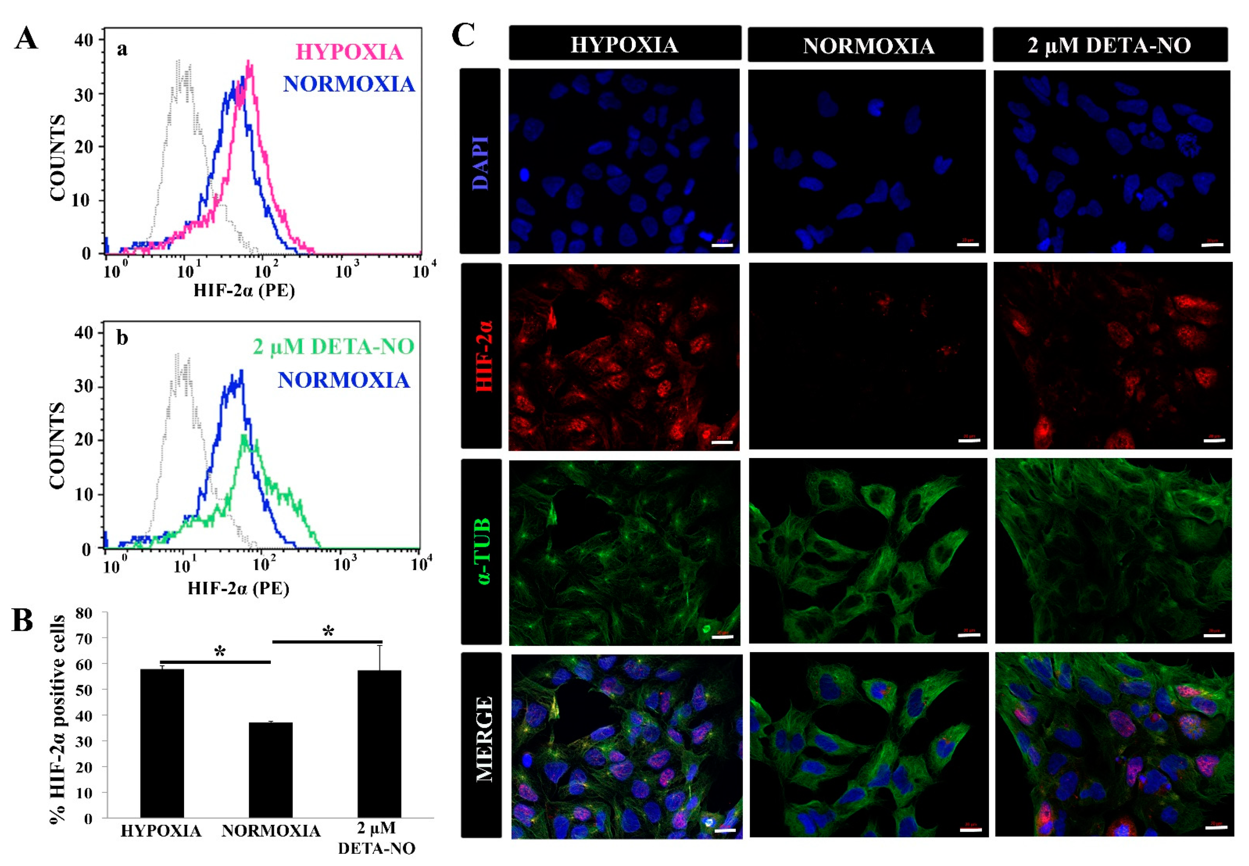 Antioxidants 10 01408 g002