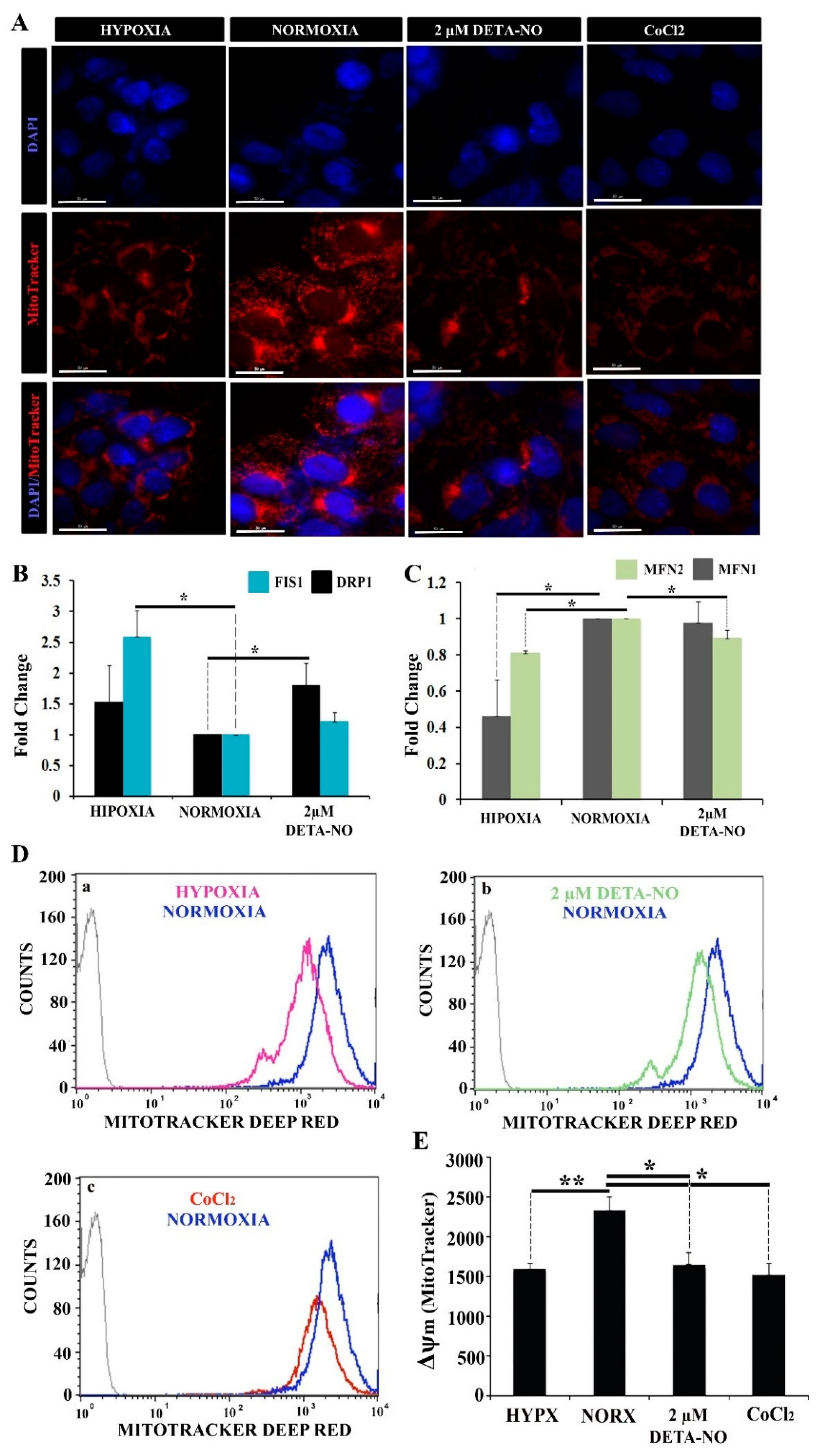 Antioxidants 10 01408 g006