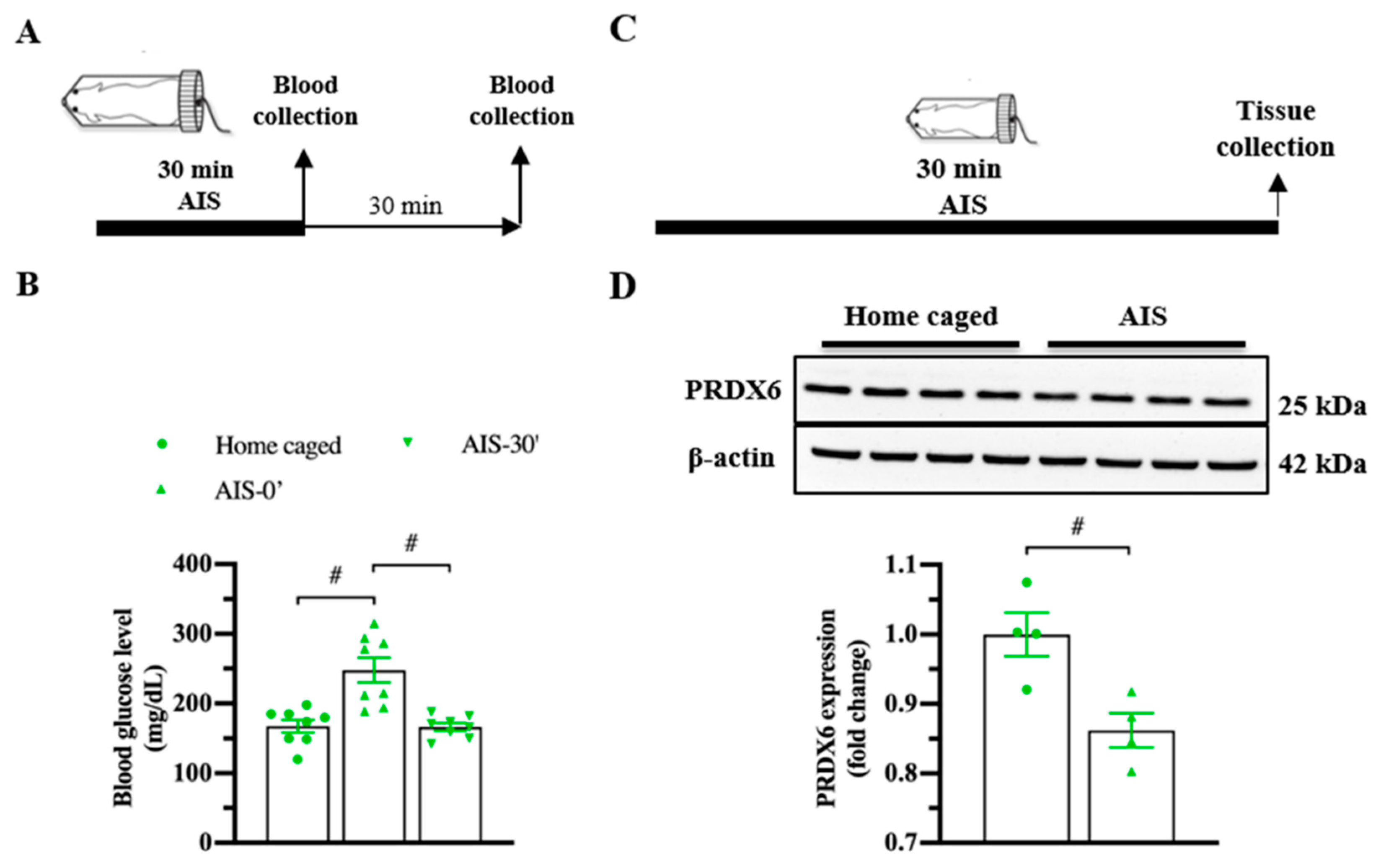 Antioxidants 10 01416 g002 550