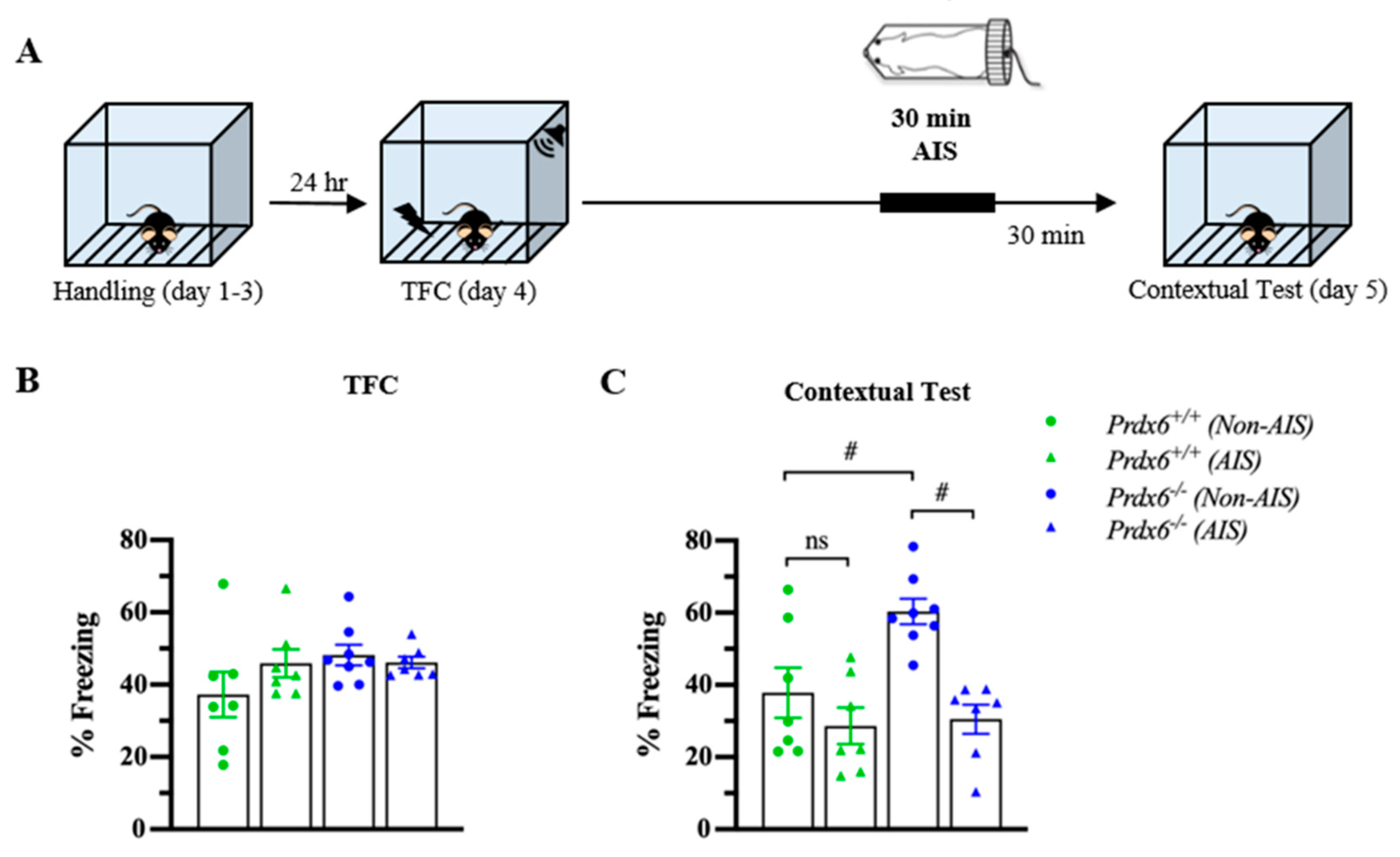Antioxidants 10 01416 g006 550