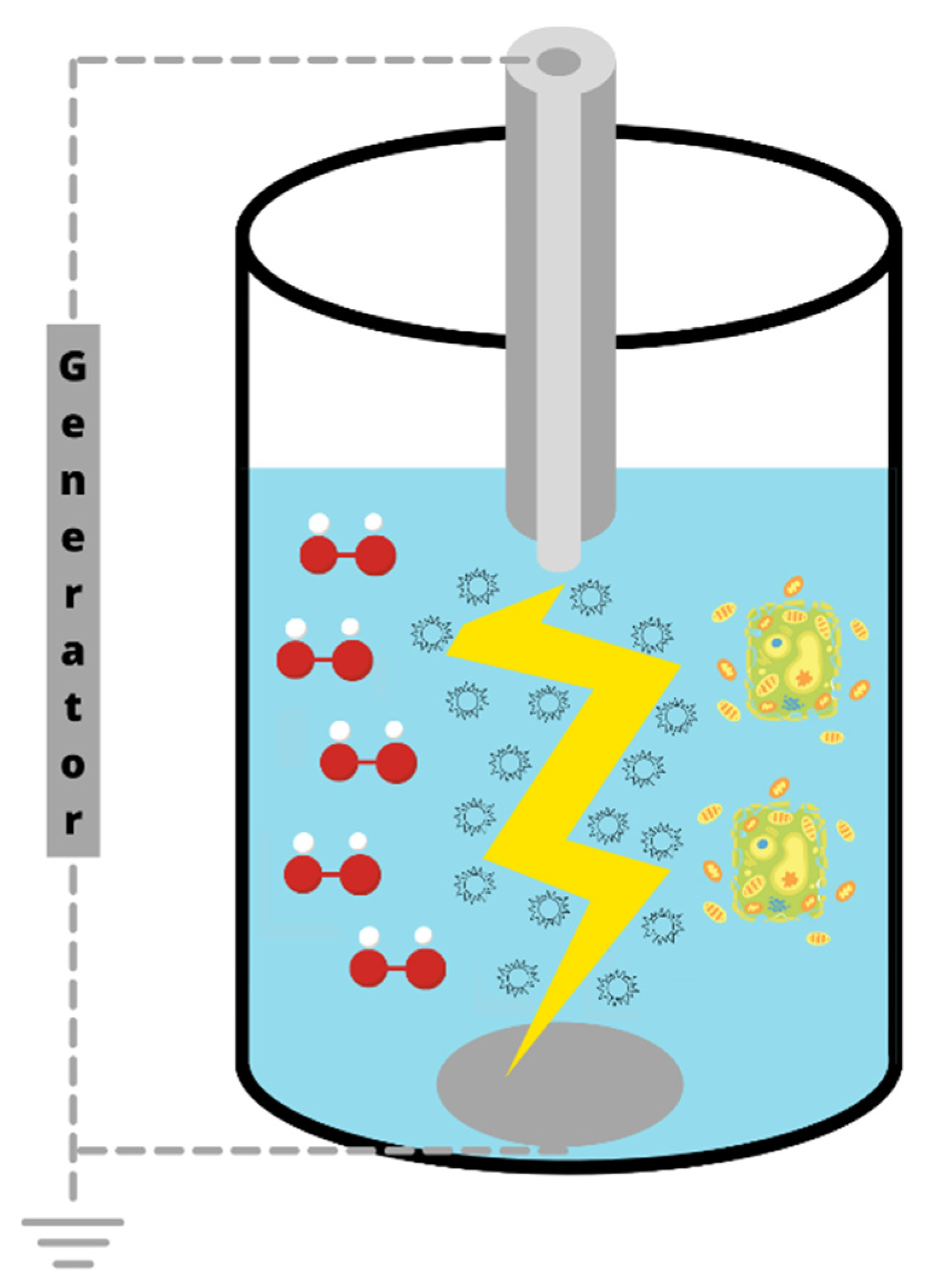 Antioxidants 10 01417 g007