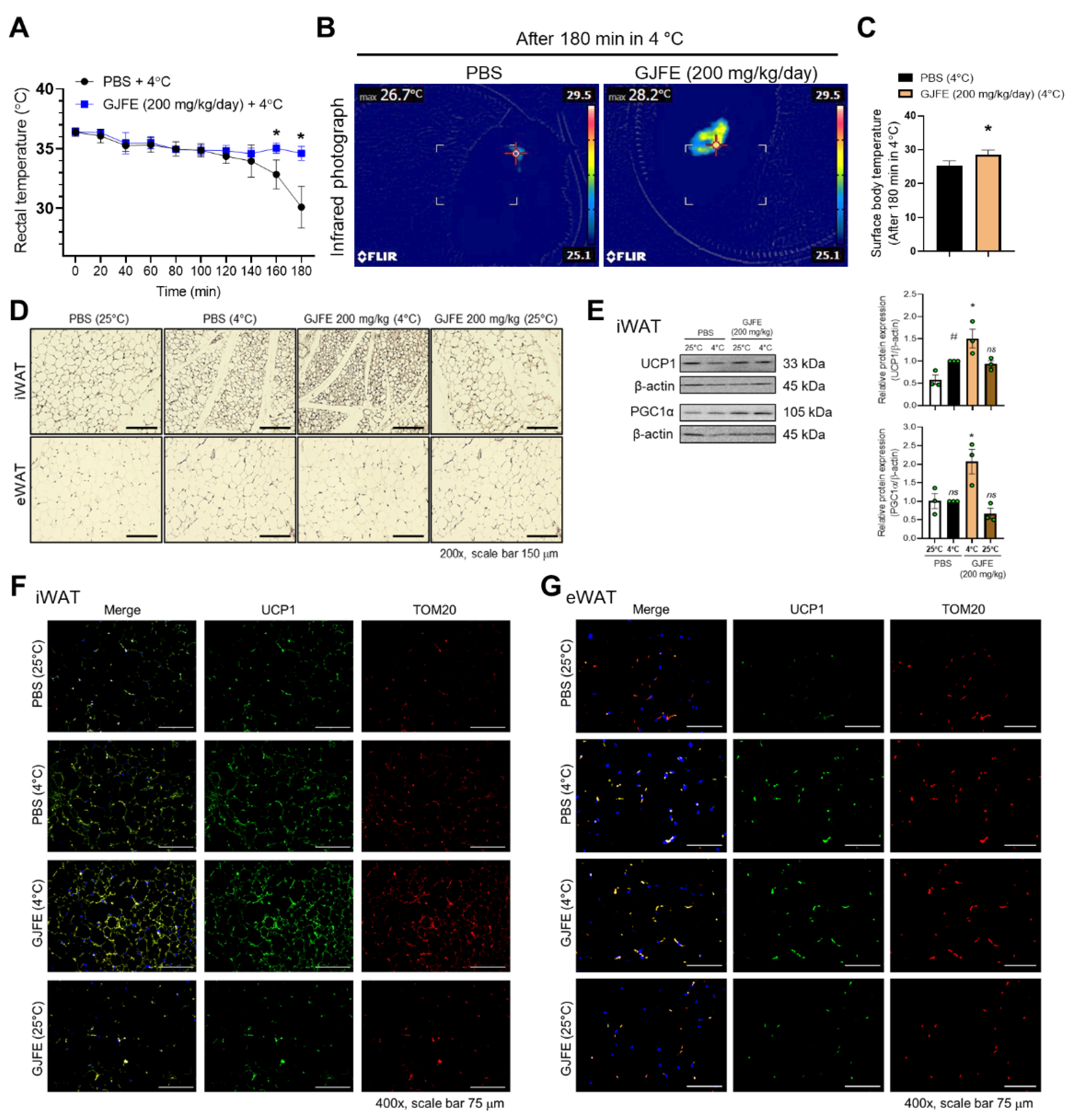 Antioxidants 10 01418 g001 550
