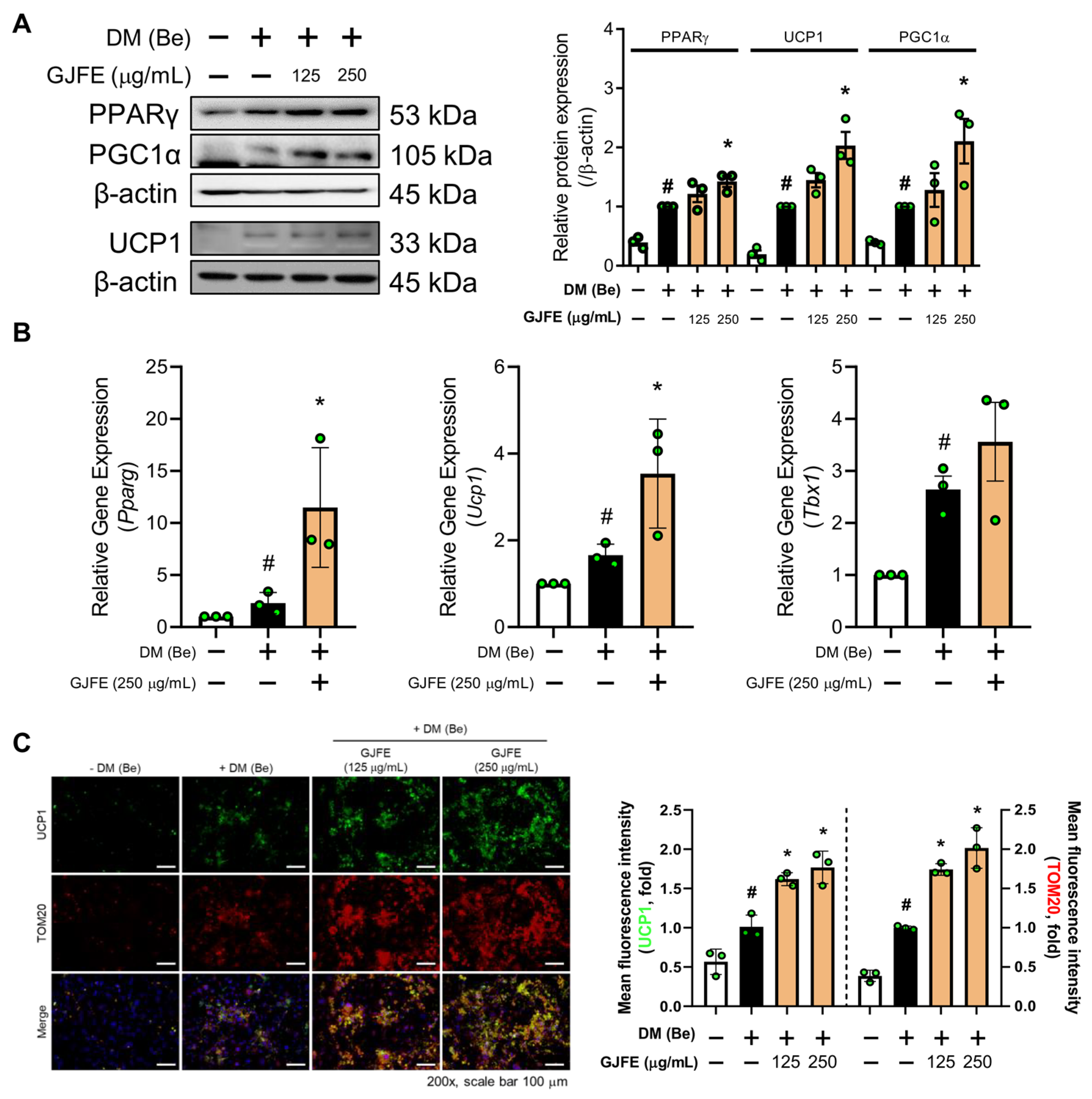 Antioxidants 10 01418 g003 550