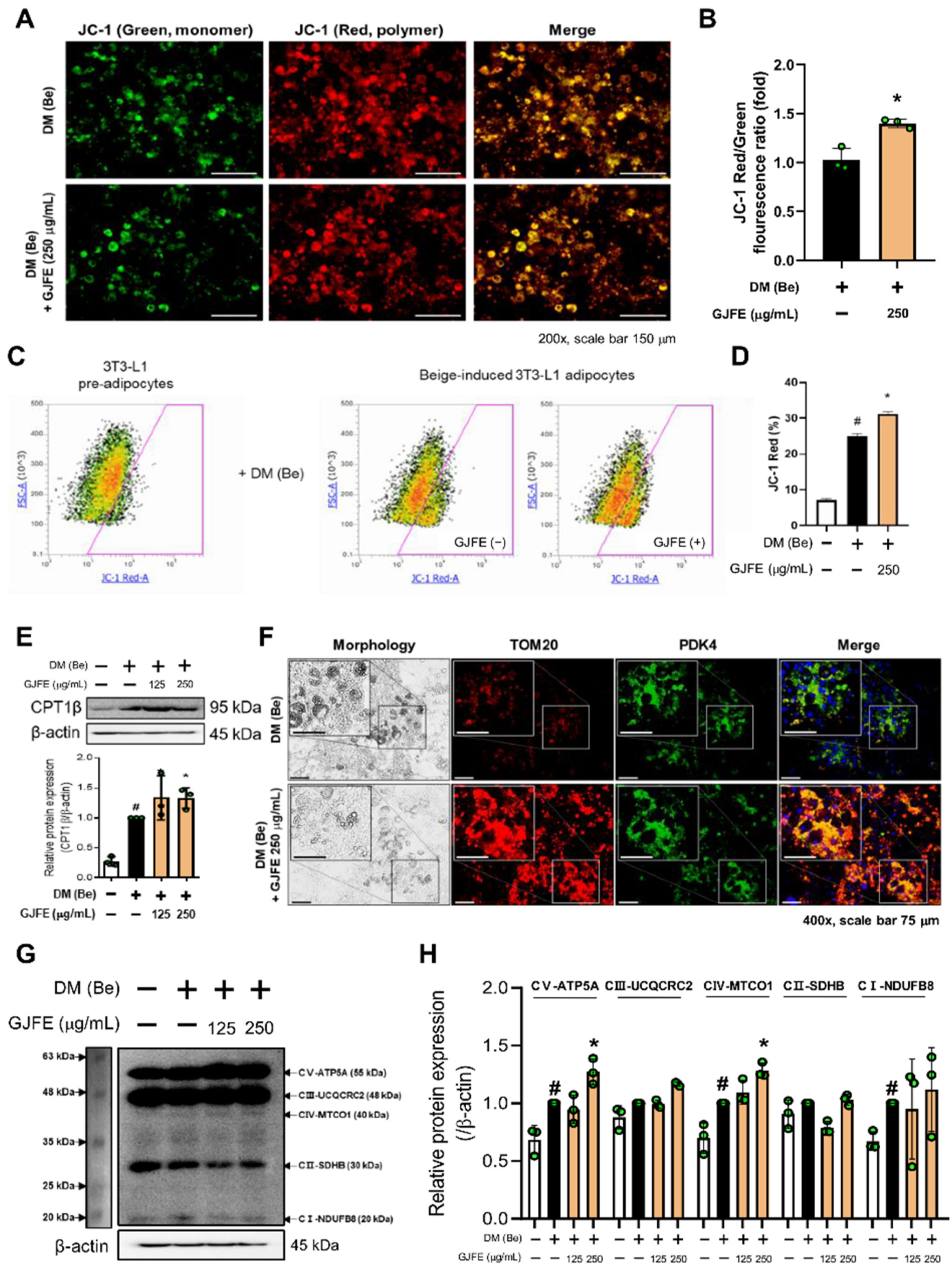 Antioxidants 10 01418 g005 550