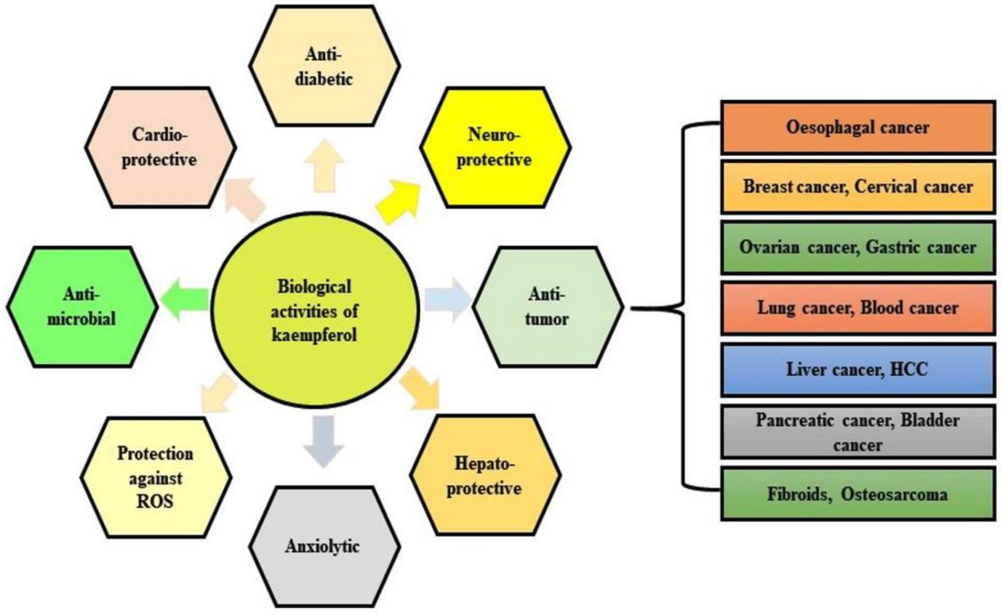 Antioxidants 10 01419 g001