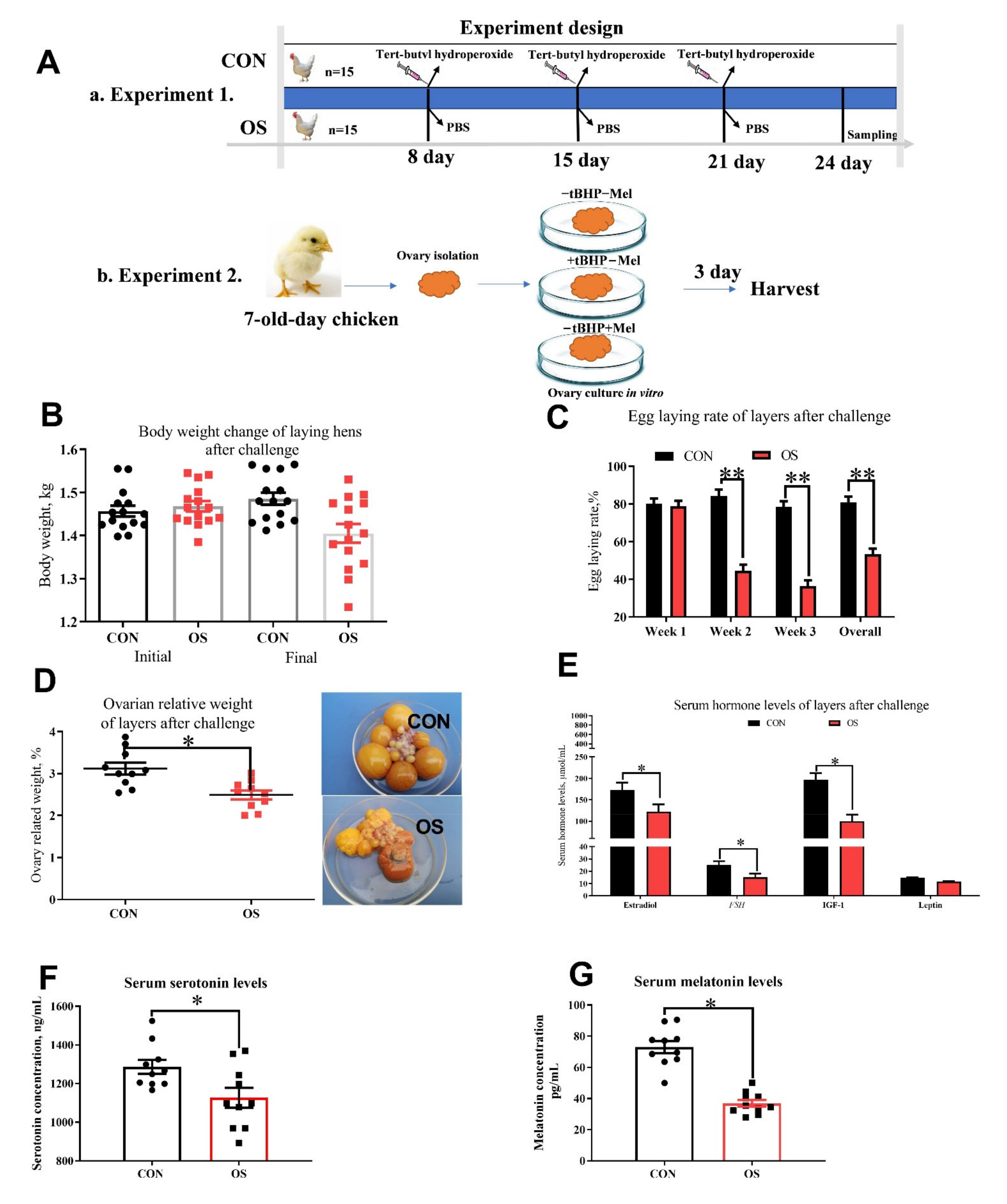 Antioxidants 10 01422 g001