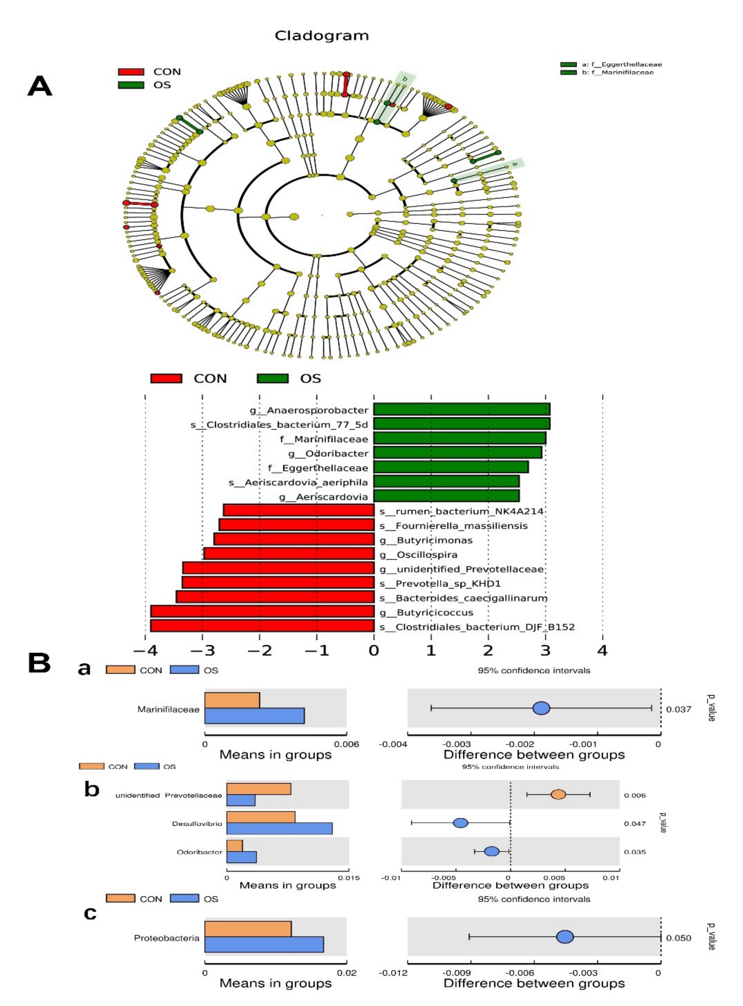 Antioxidants 10 01422 g006