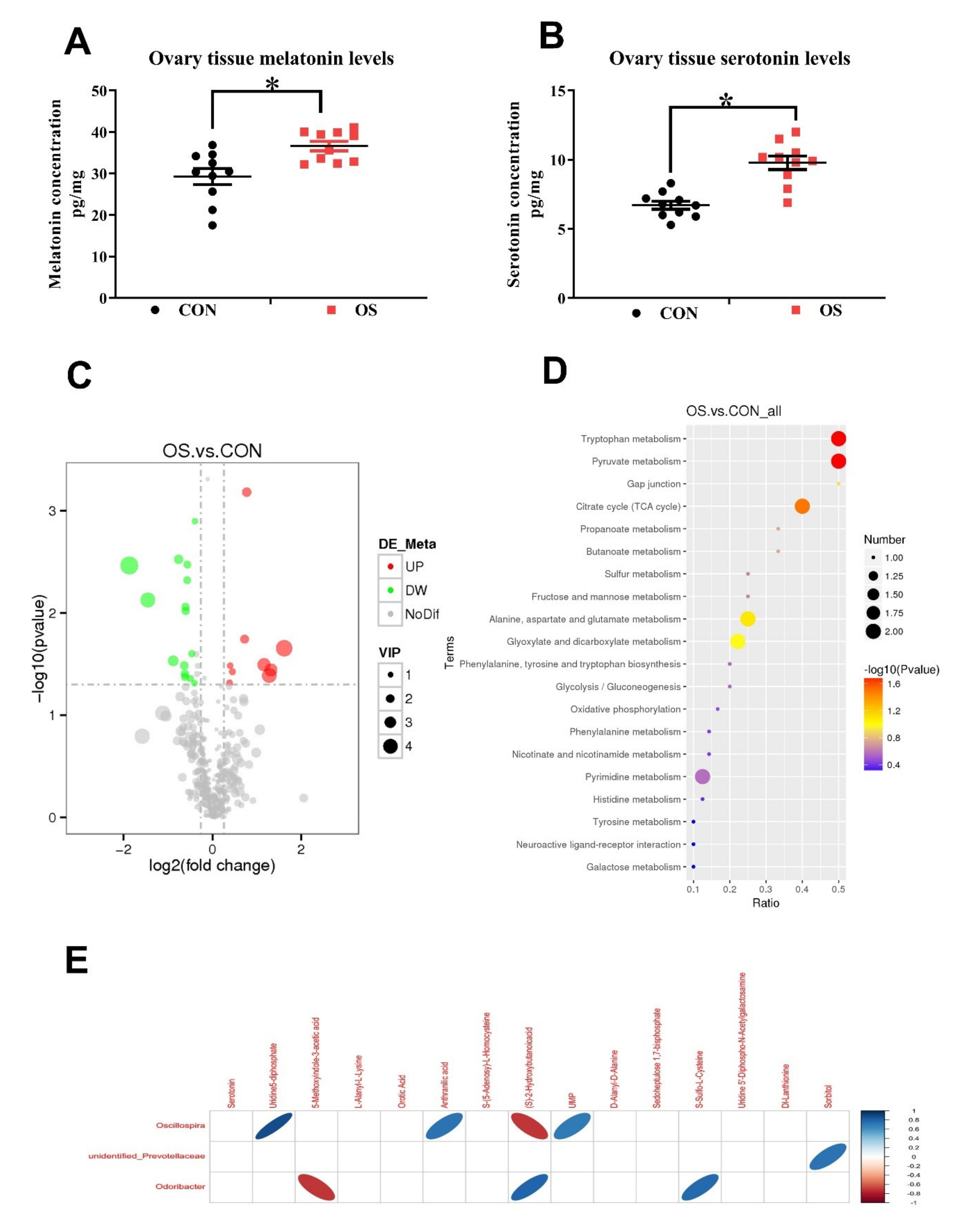 Antioxidants 10 01422 g008