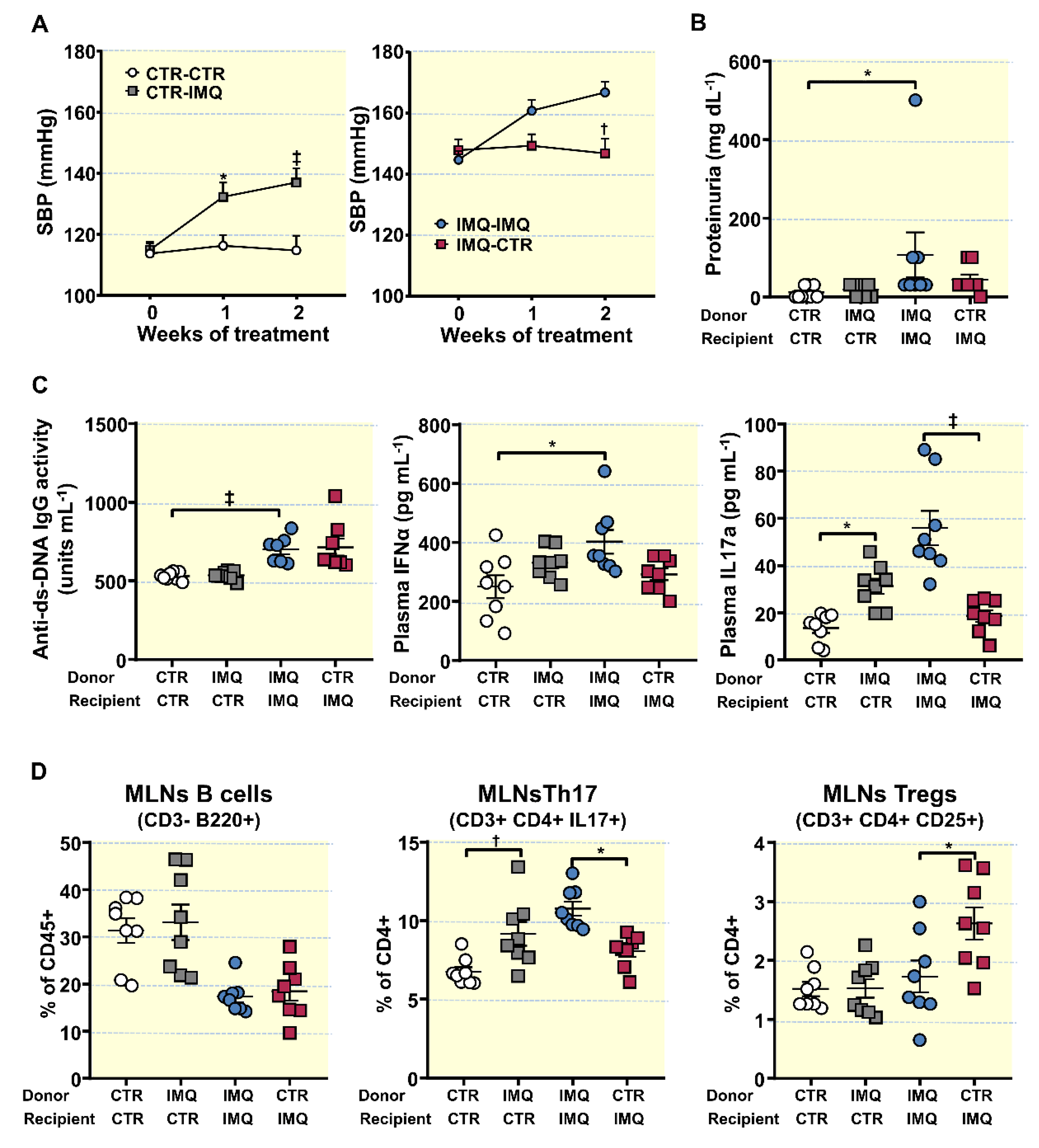 Antioxidants 10 01426 g005
