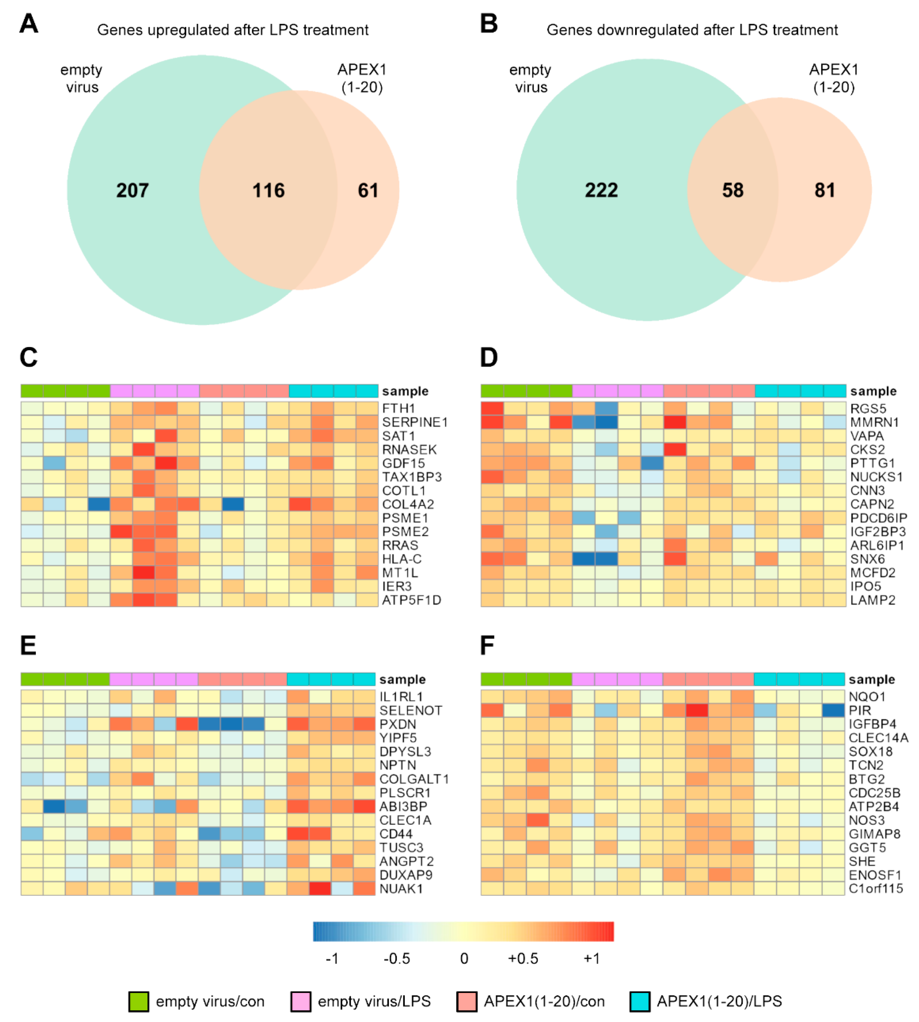 Antioxidants 10 01427 g001