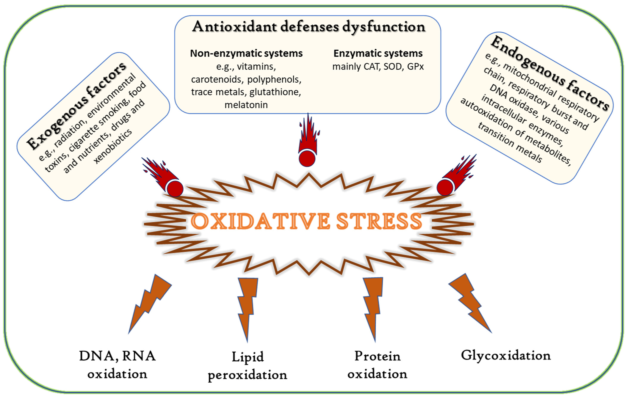 Antioxidant activities