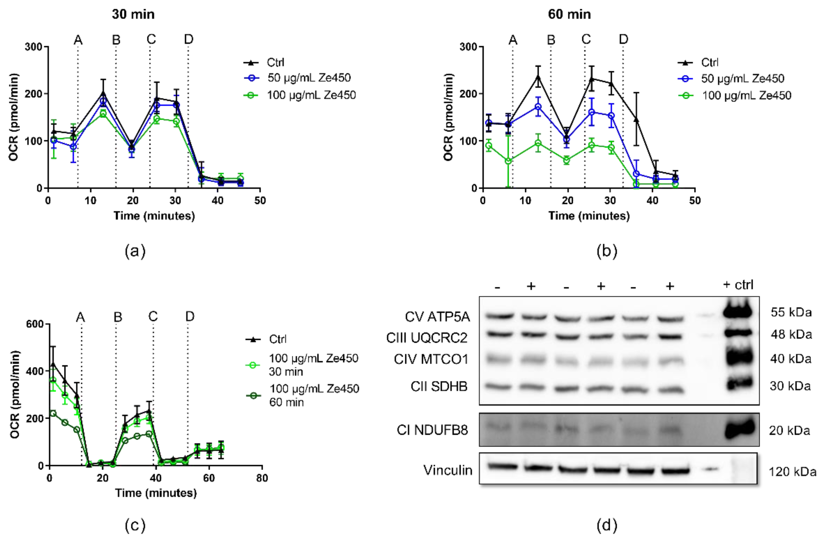 Antioxidants 10 01432 g002 550