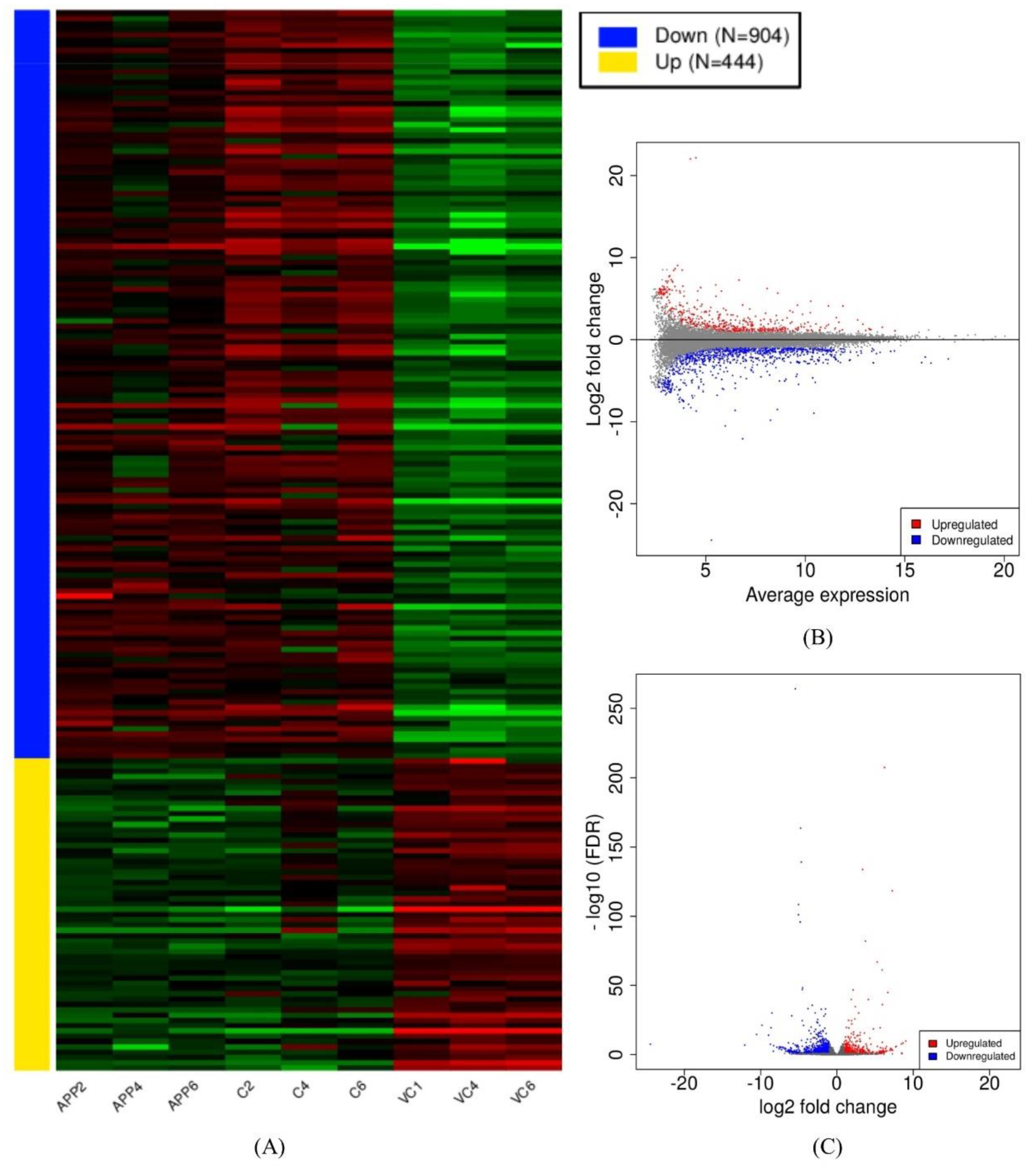 Antioxidants 10 01435 g001 550