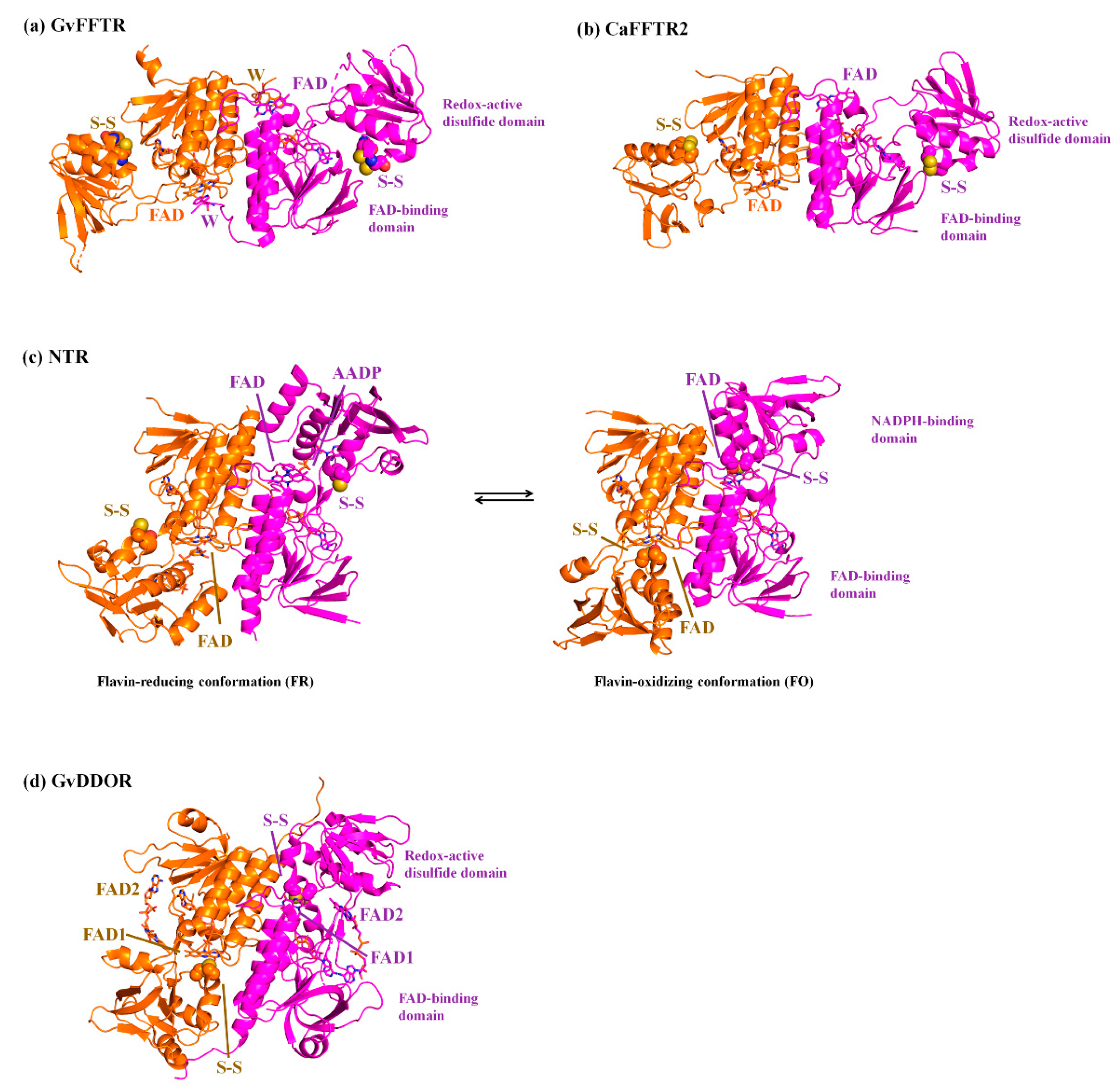 Antioxidants 10 01437 g001 550