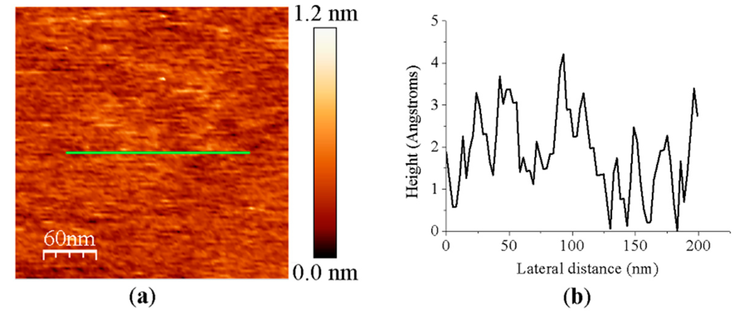 Antioxidants 10 01437 g0a1 550