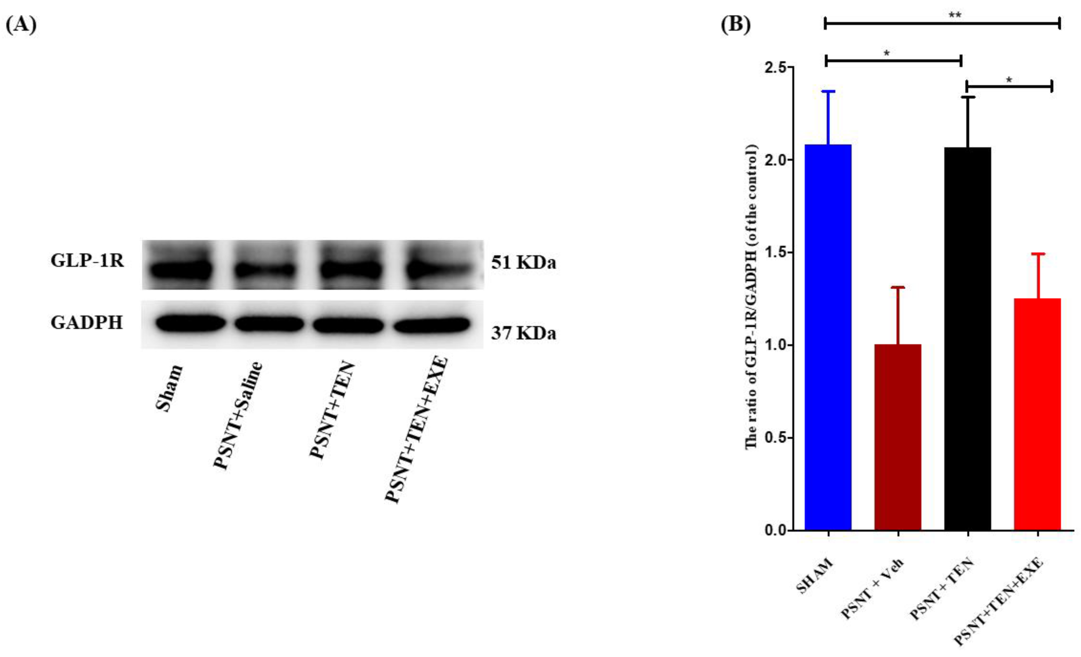Antioxidants 10 01438 g003 550