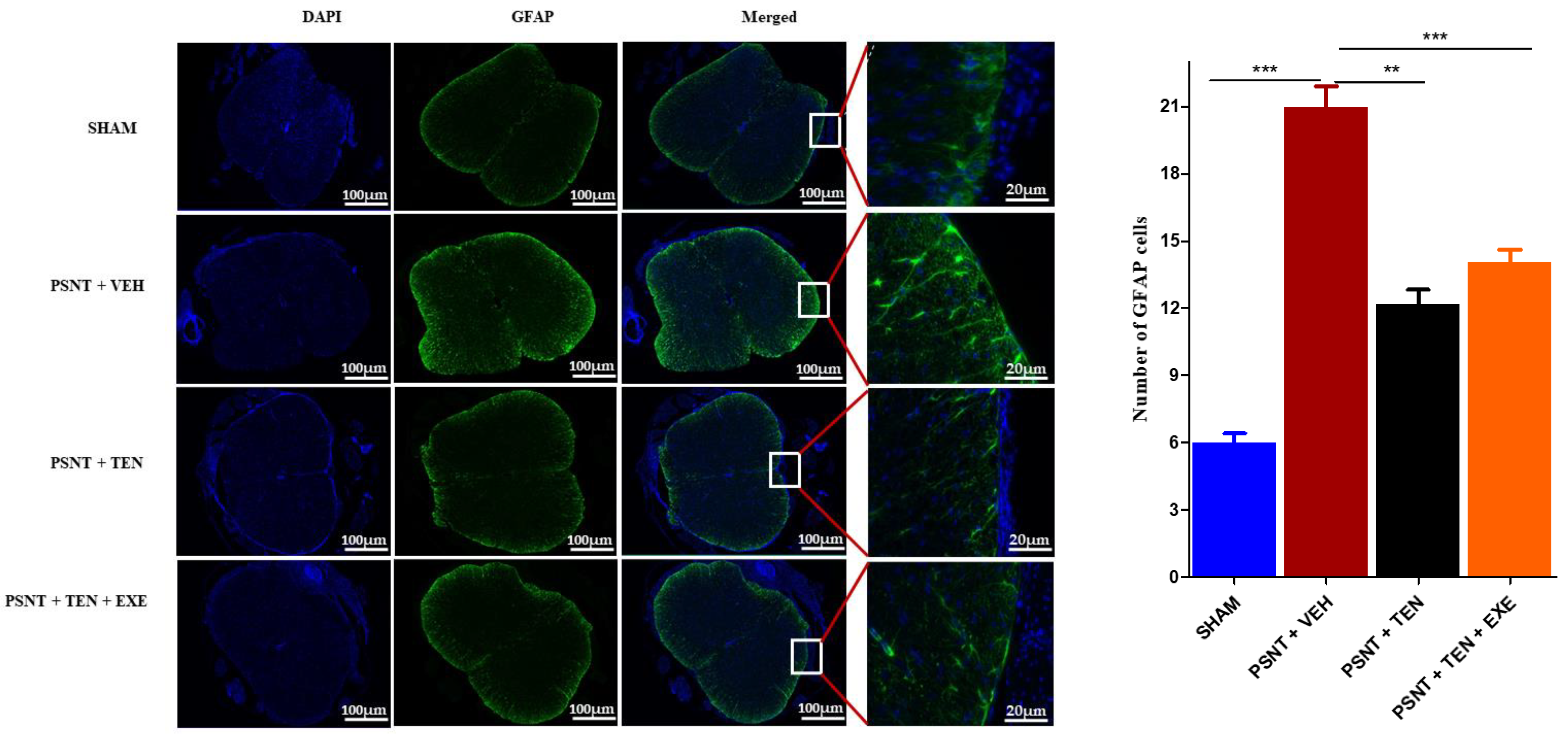 Antioxidants 10 01438 g004 550