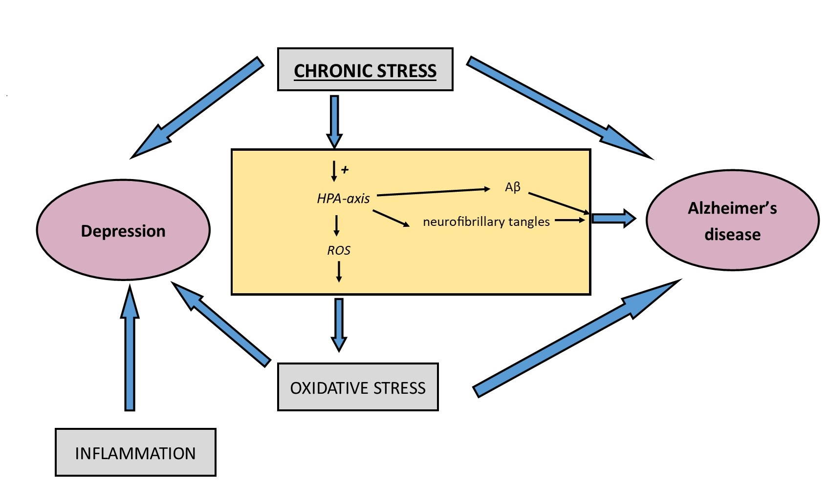 Antioxidants Free Full Text Chronic Stress And Oxidative Stress As Common Factors Of The Pathogenesis Of Depression And Alzheimer S Disease The Role Of Antioxidants In Prevention And Treatment Html