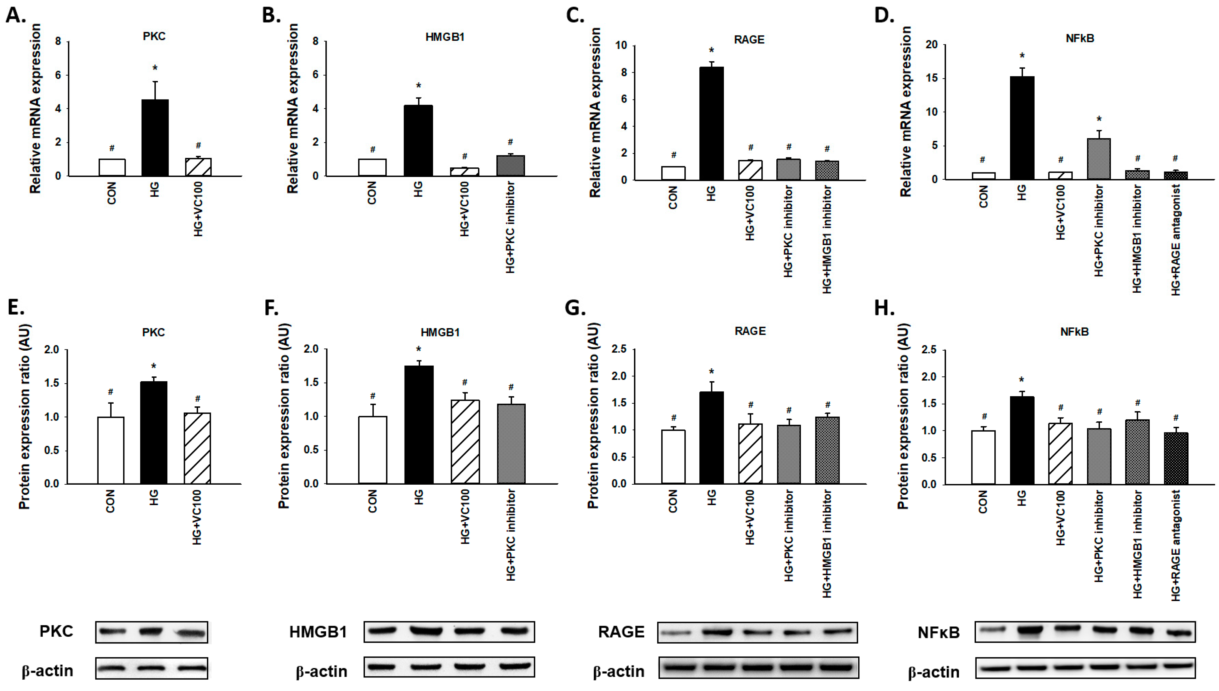 Antioxidants 10 01445 g004