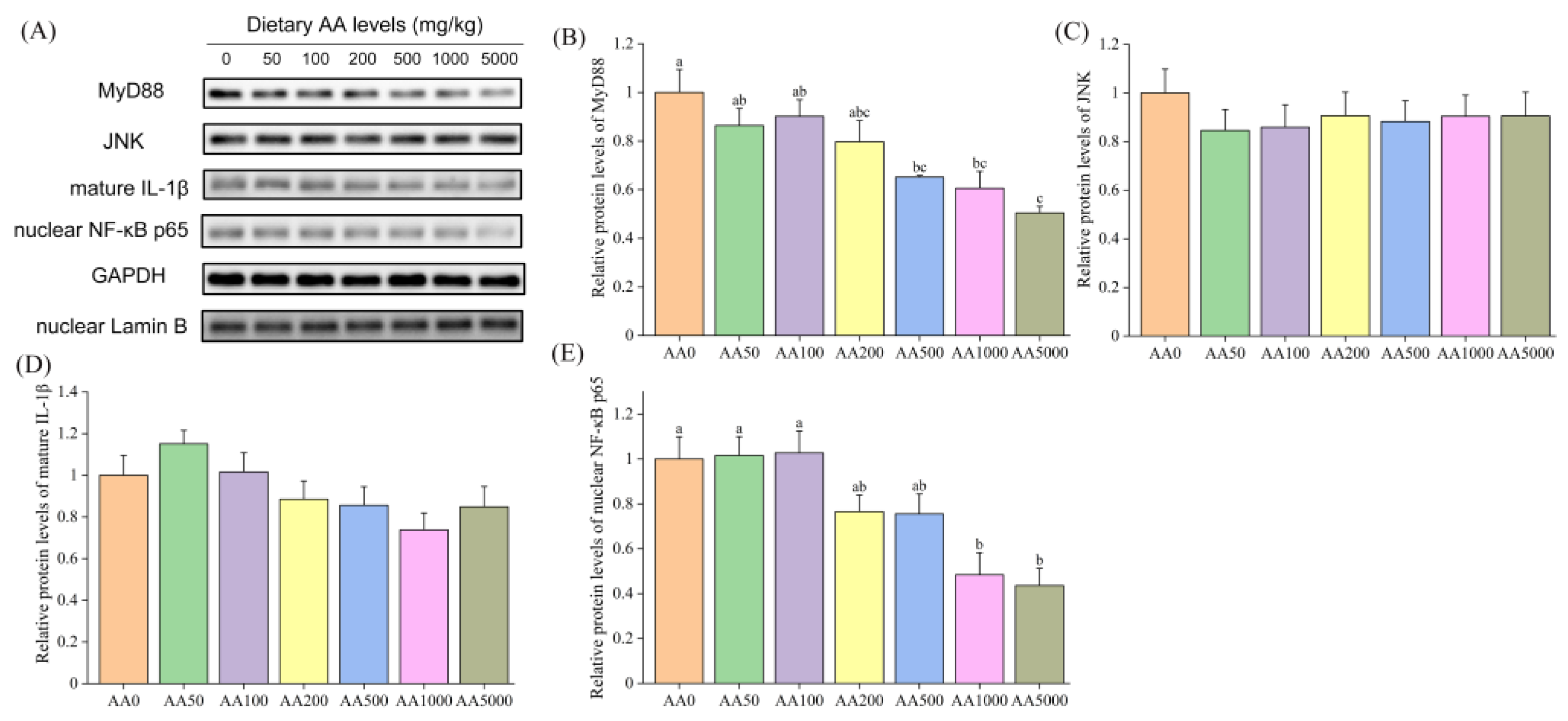 Antioxidants 10 01449 g003 Antioxidants 10 01449 g003