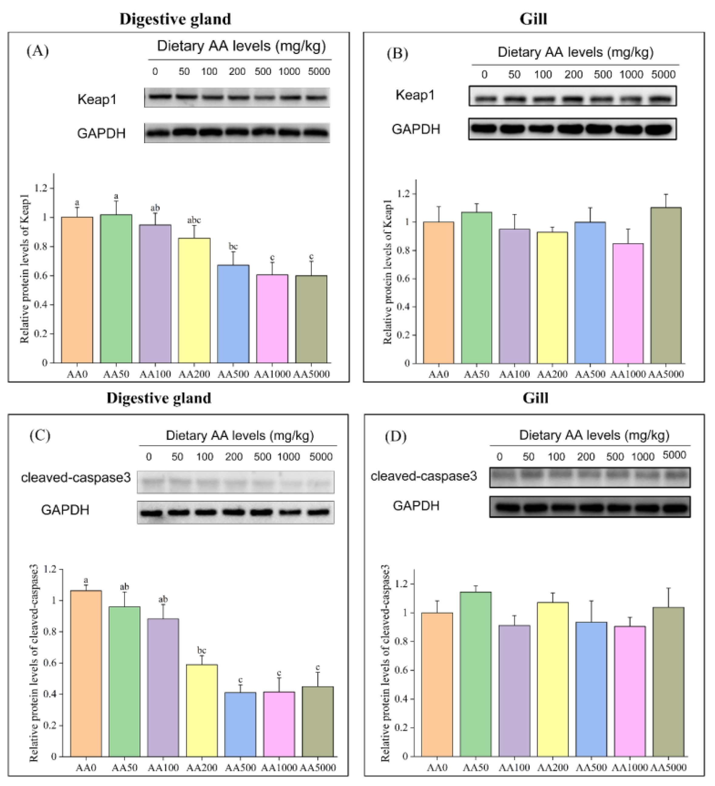 Antioxidants 10 01449 g006 Antioxidants 10 01449 g006
