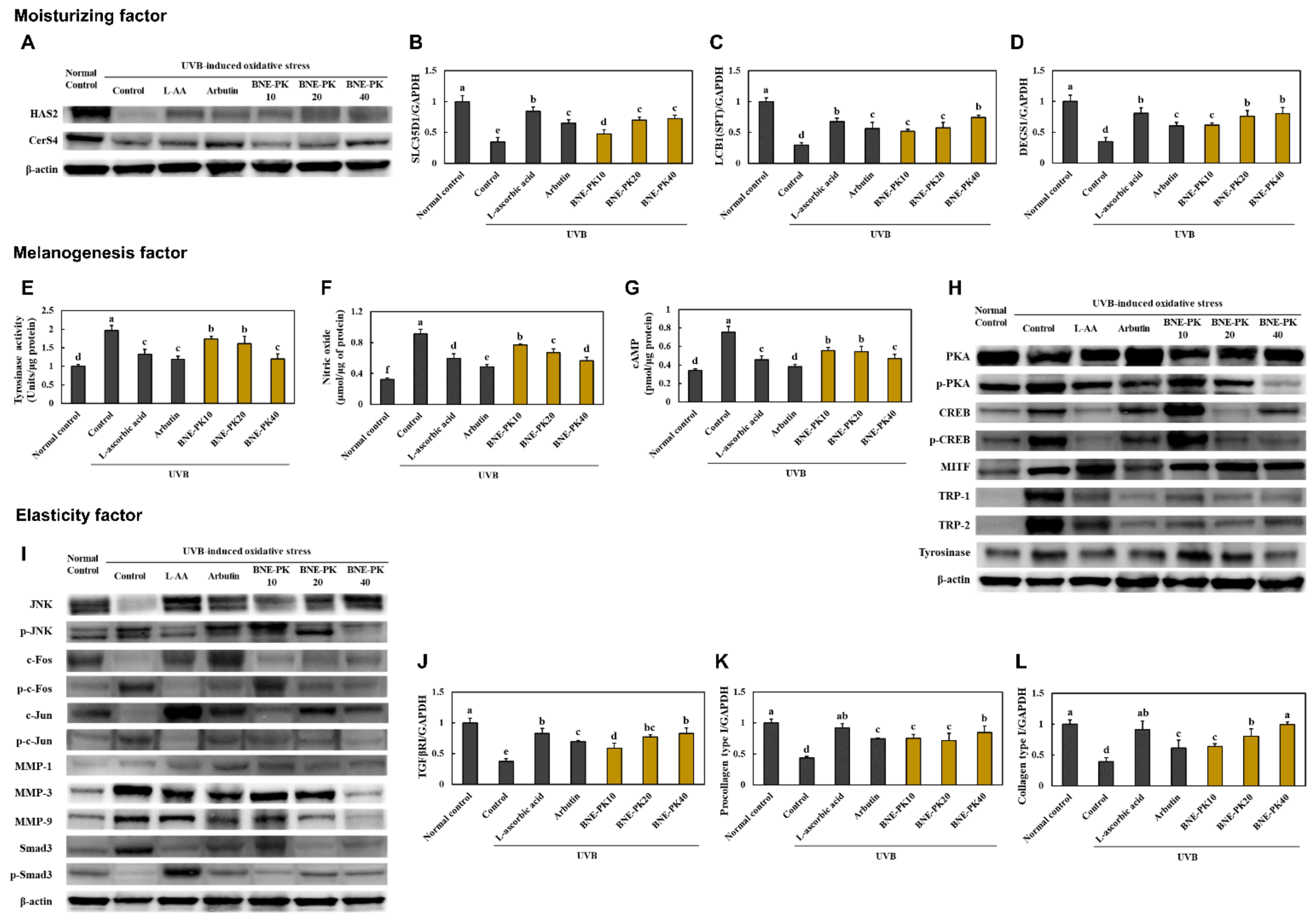 Antioxidants 10 01452 g003 550