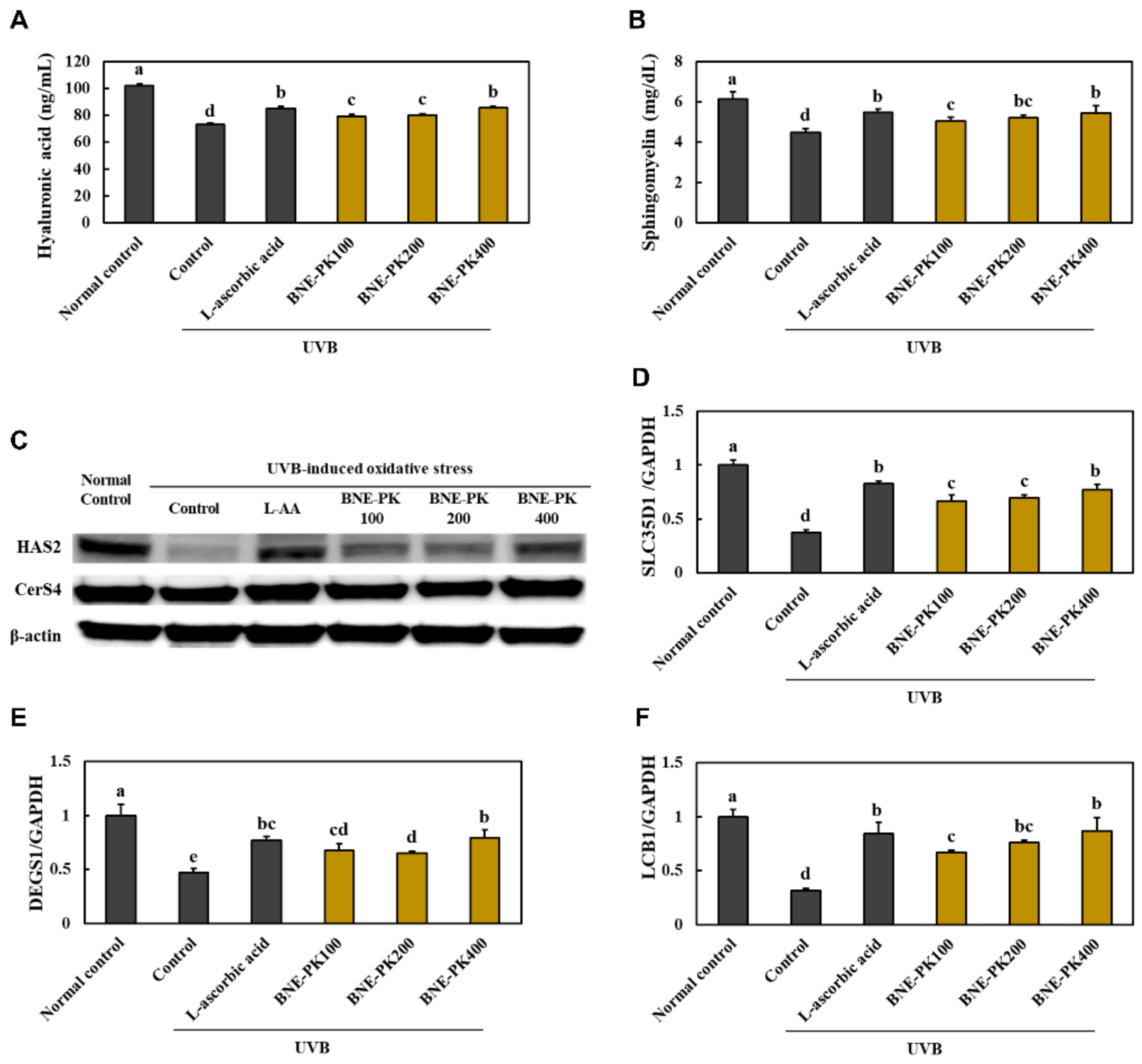 Antioxidants 10 01452 g004 550