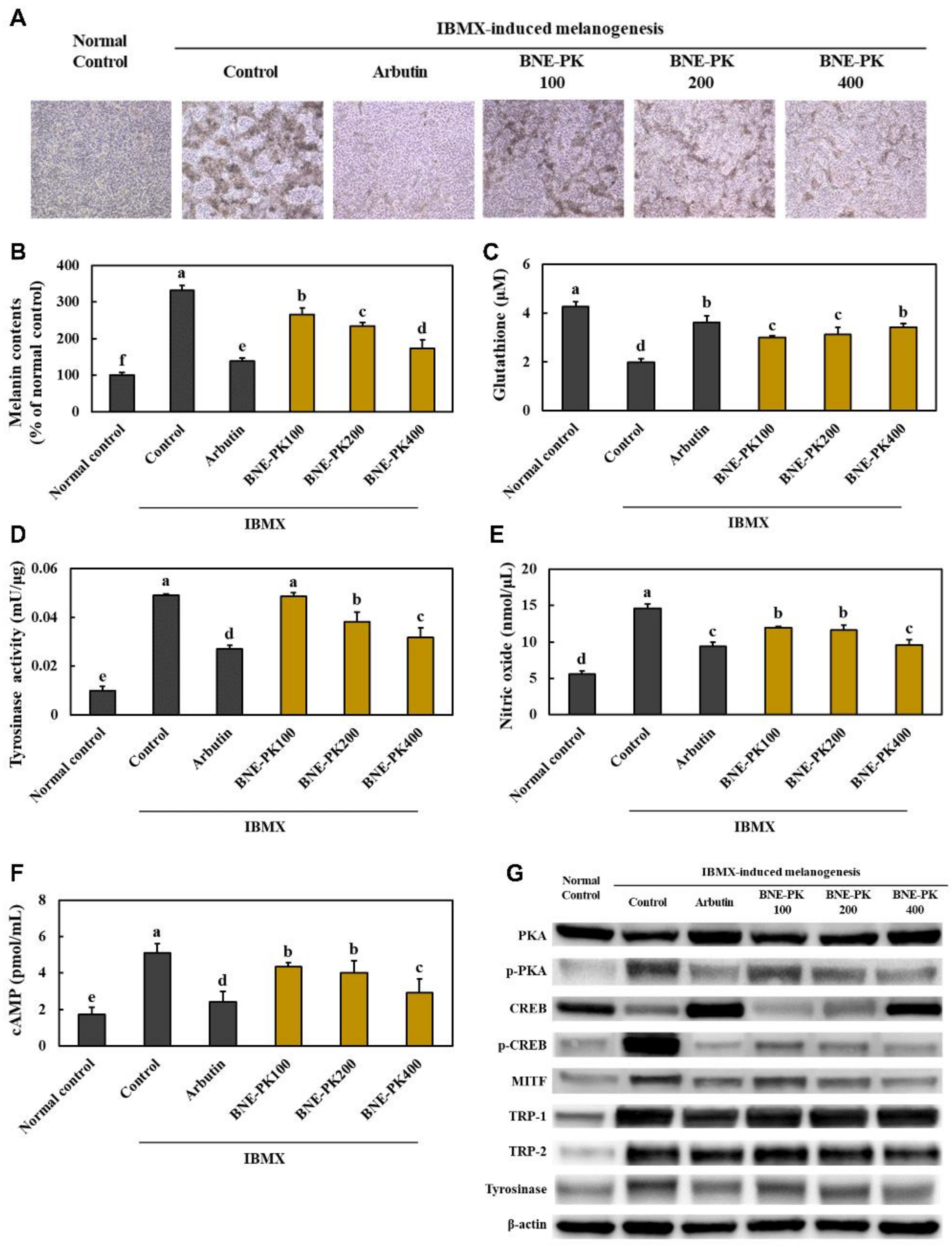 Antioxidants 10 01452 g005 550