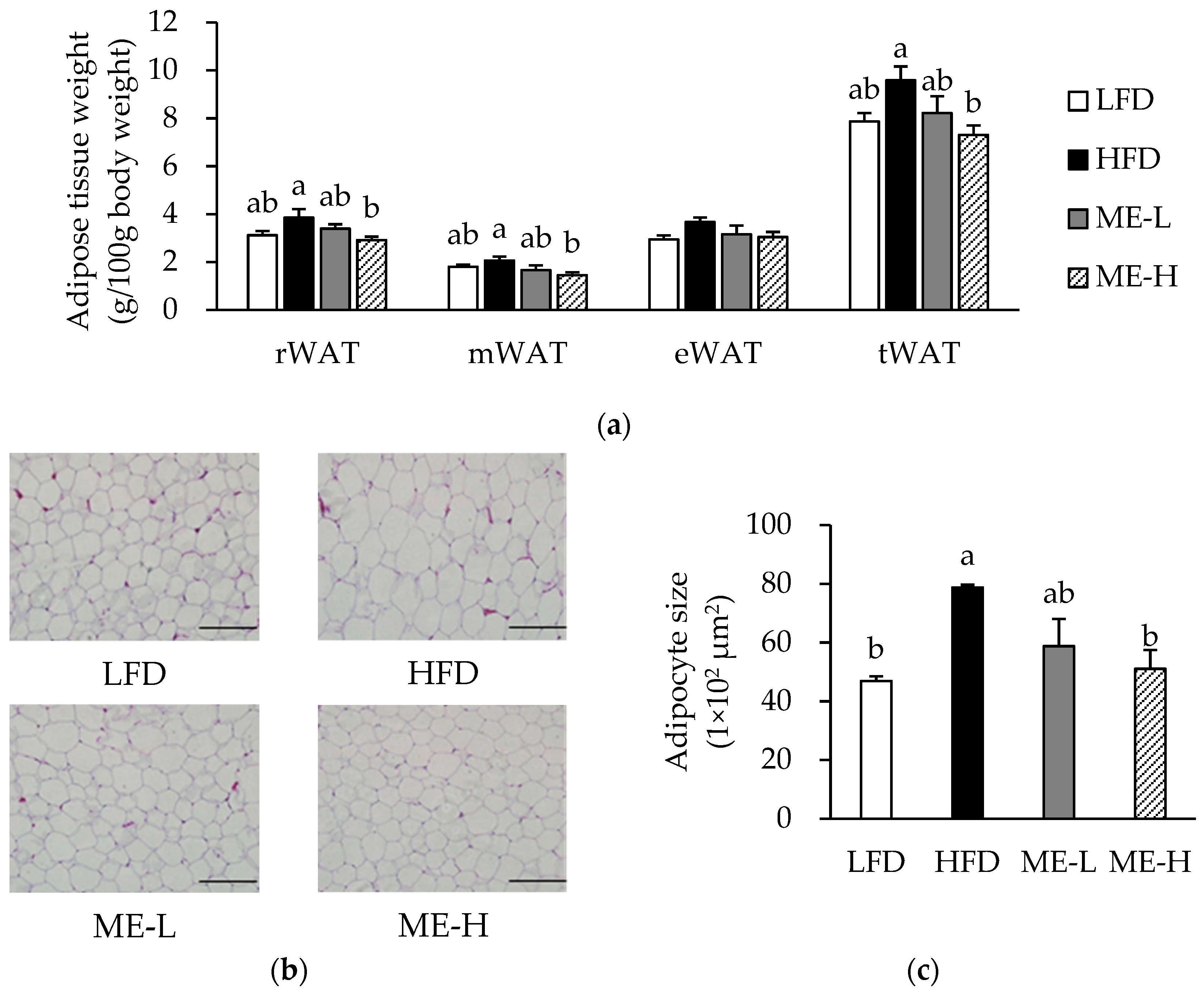 Antioxidants 10 01453 g001a Antioxidants 10 01453 g001a