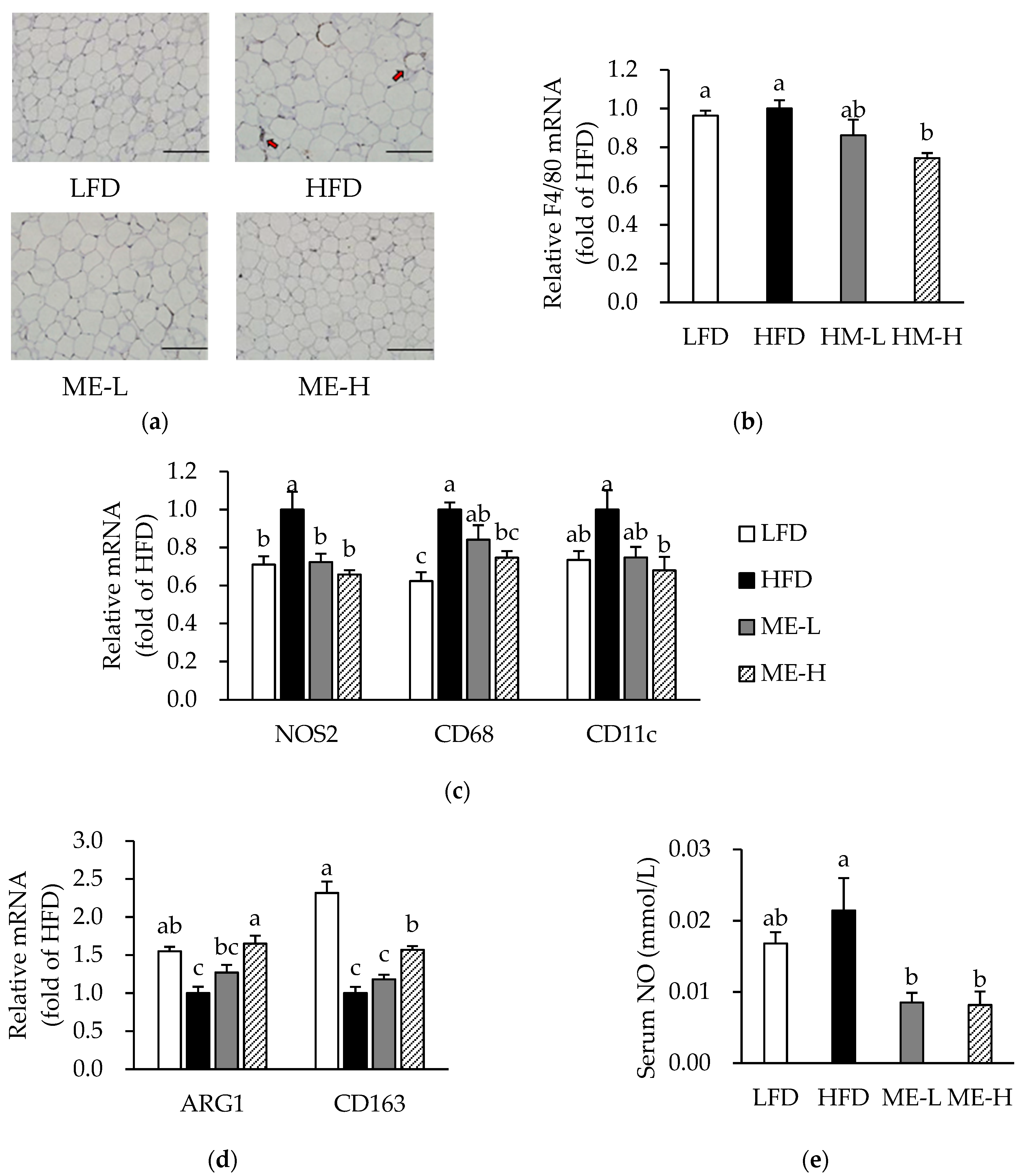 Antioxidants 10 01453 g003 Antioxidants 10 01453 g003