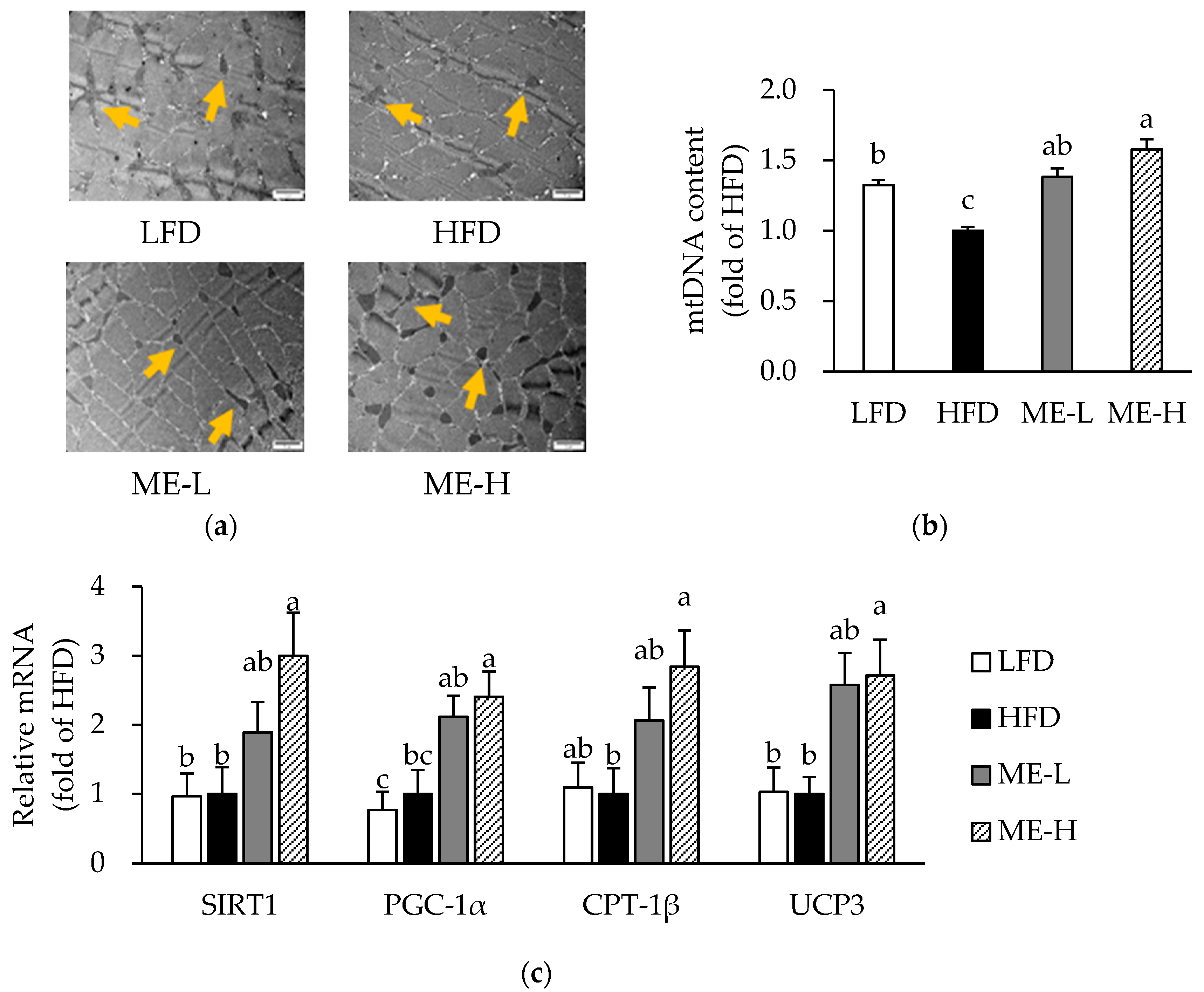 Antioxidants 10 01453 g005 Antioxidants 10 01453 g005