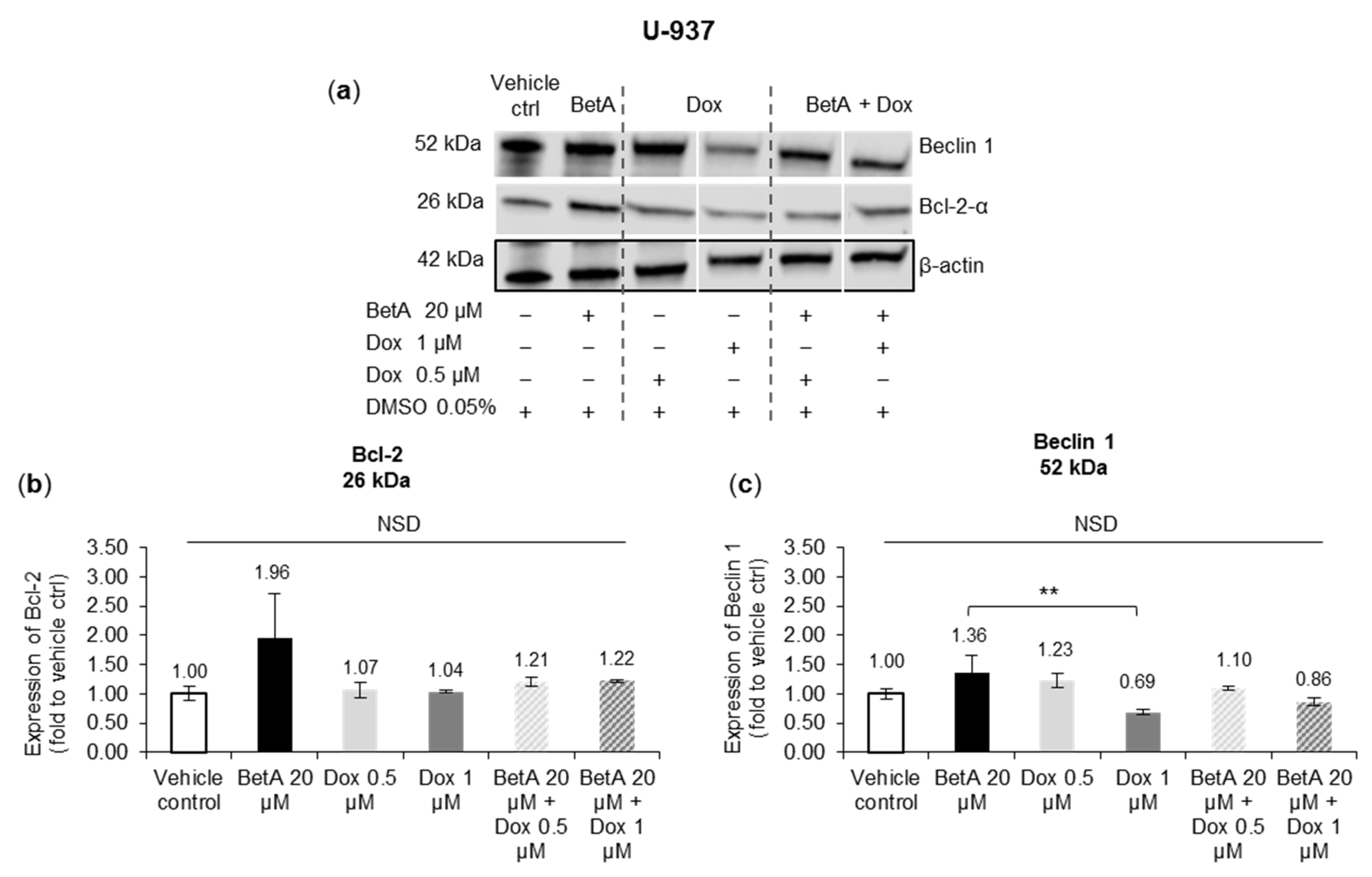 Antioxidants 10 01456 g005 Antioxidants 10 01456 g005
