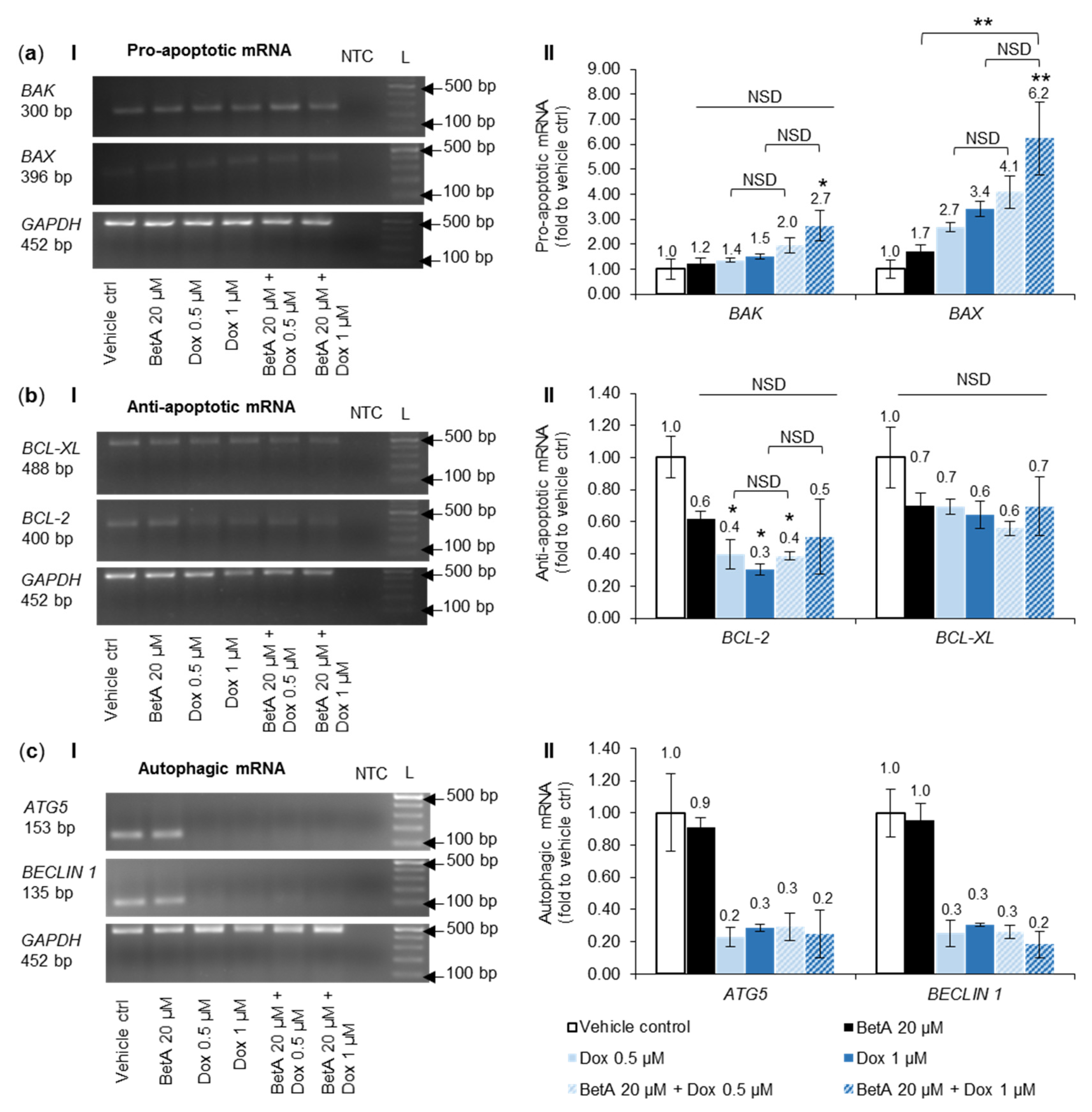 Antioxidants 10 01456 g006 Antioxidants 10 01456 g006
