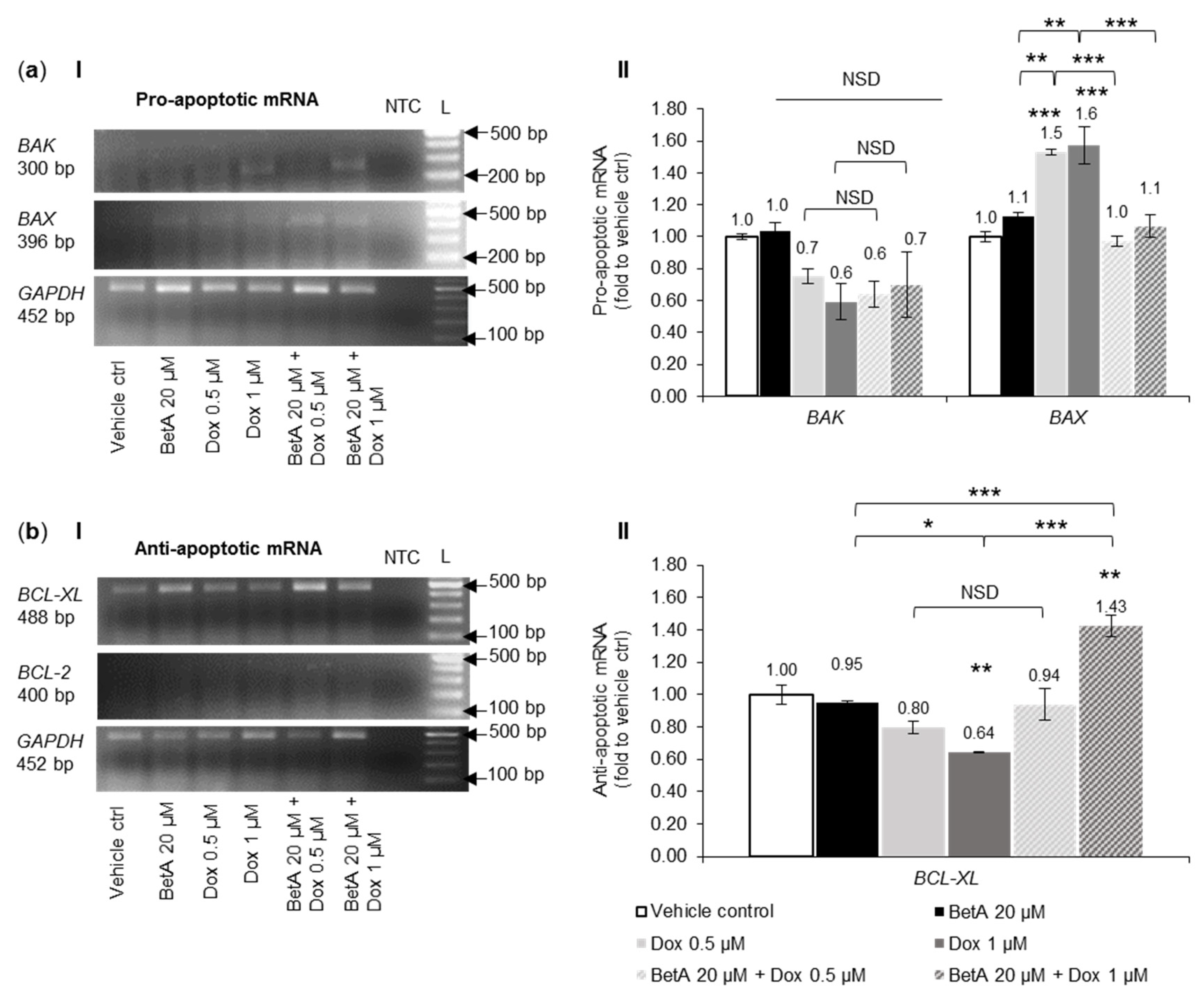 Antioxidants 10 01456 g007 Antioxidants 10 01456 g007