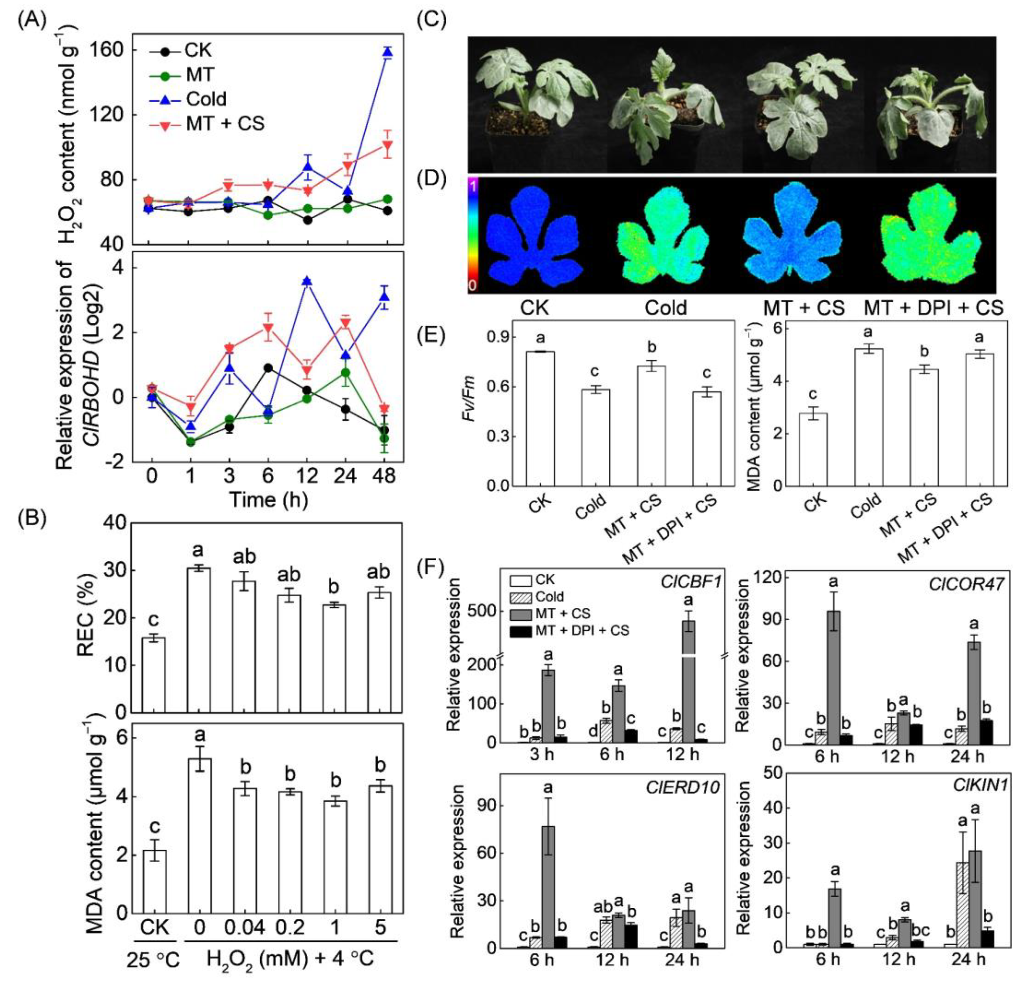 Antioxidants 10 01457 g001