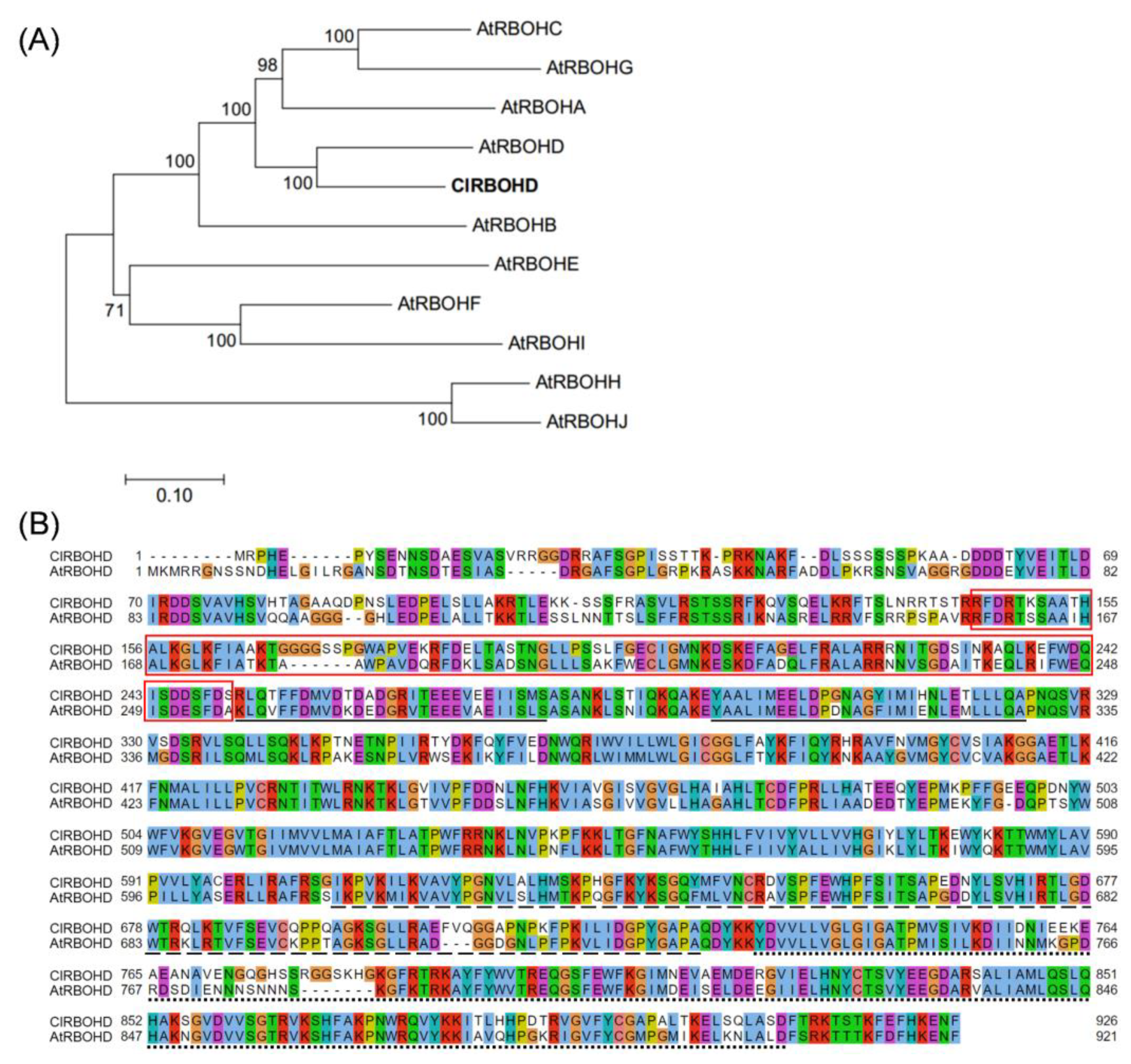 Antioxidants 10 01457 g006