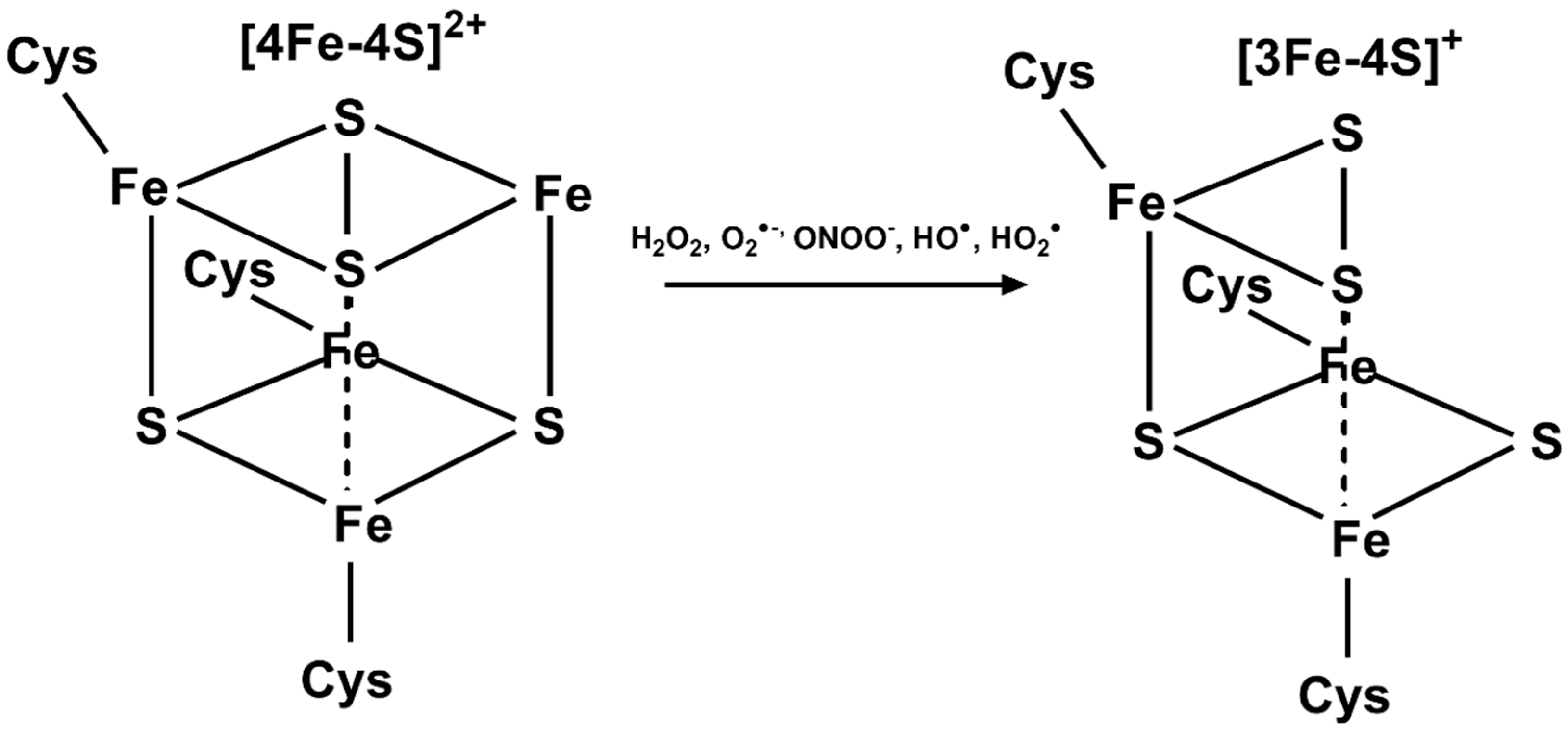 Antioxidants 10 01458 g006