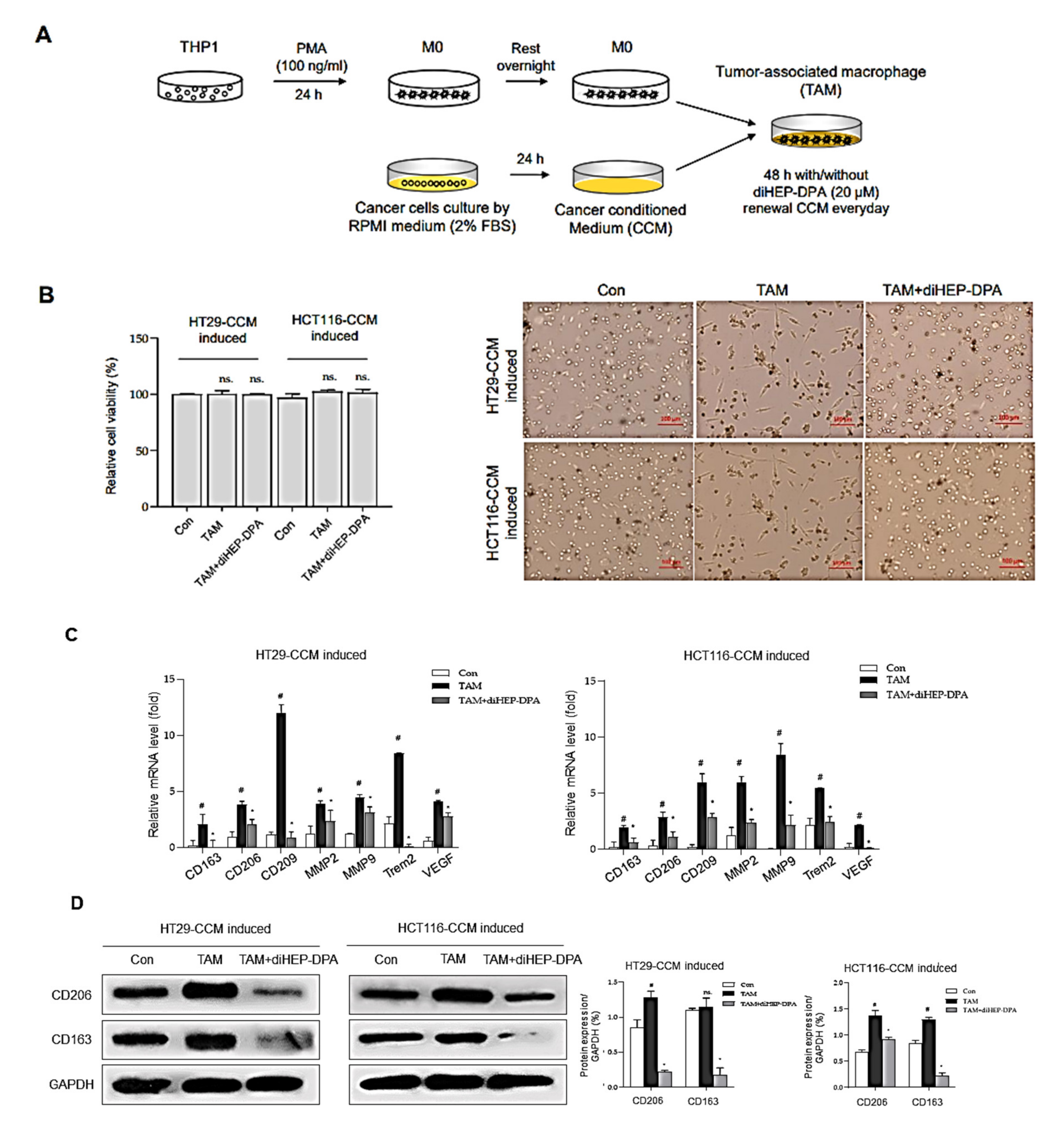 Antioxidants 10 01459 g002a