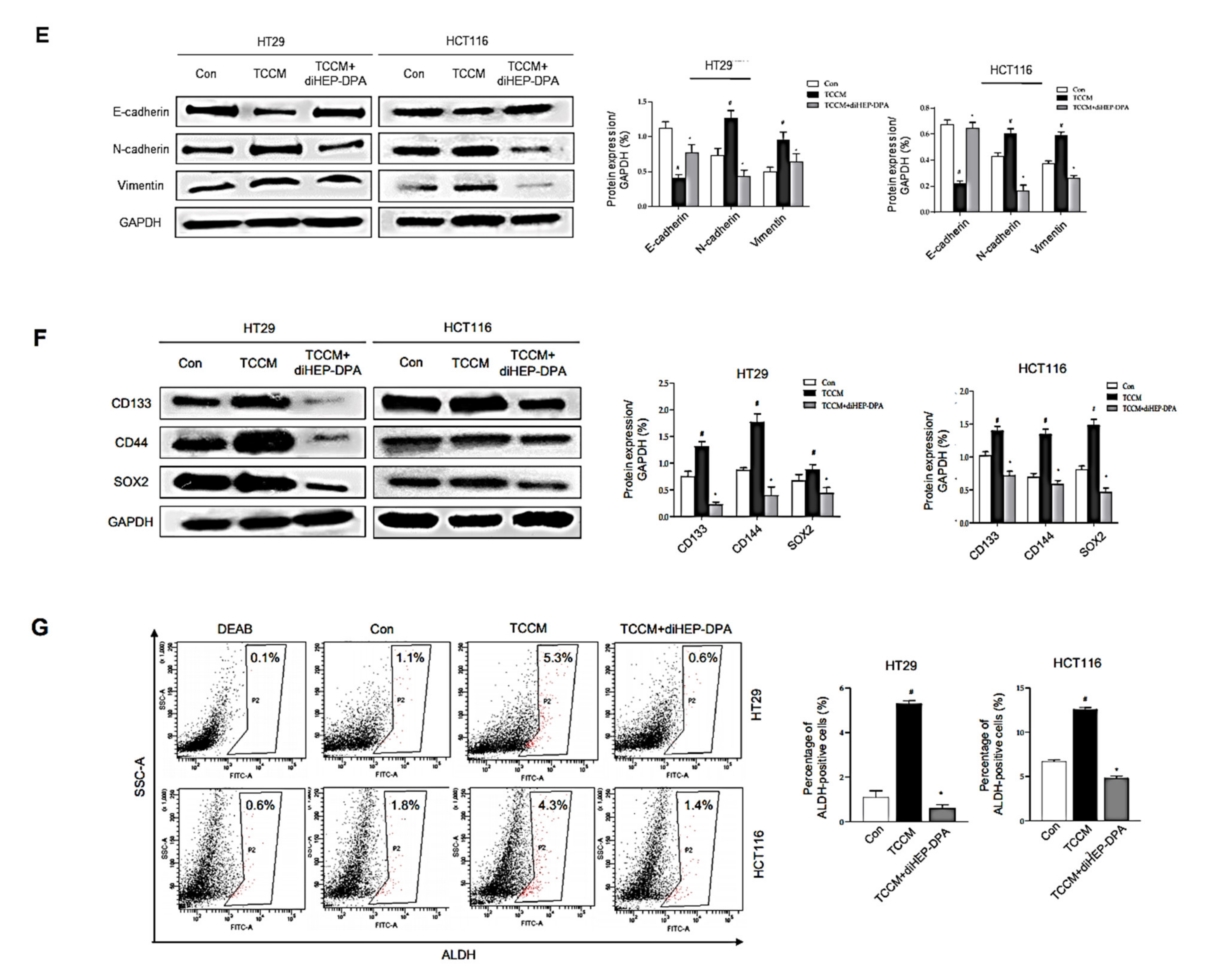 Antioxidants 10 01459 g004b